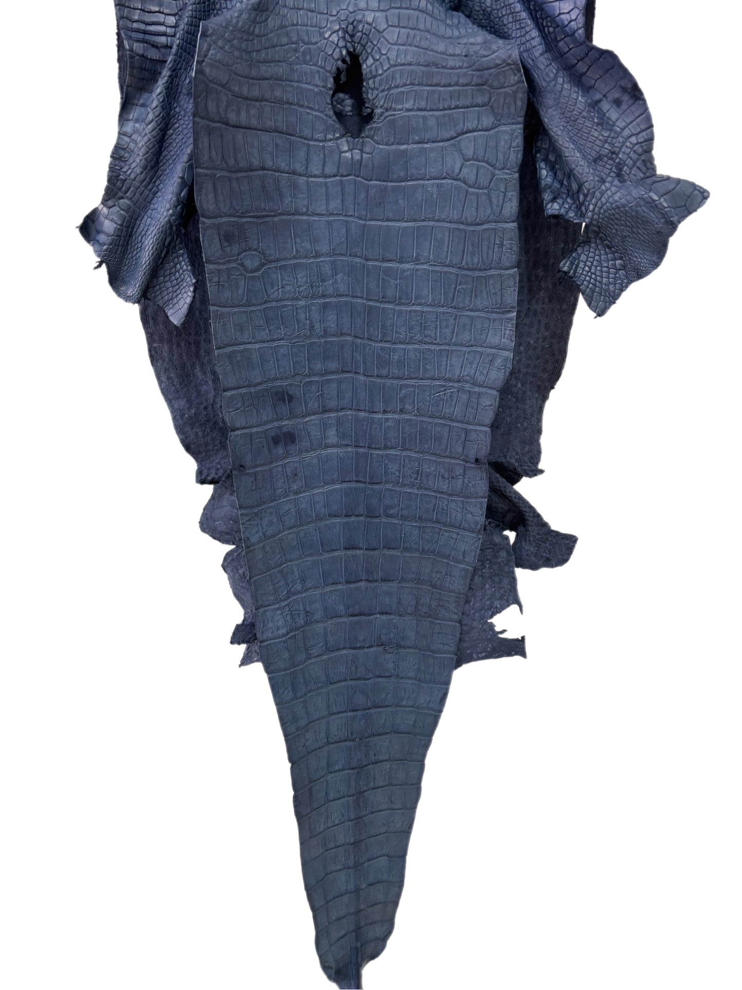 44 cm Grade 4/5 Indigo Matte Wild American Alligator Leather - Tag: TX22-0010351