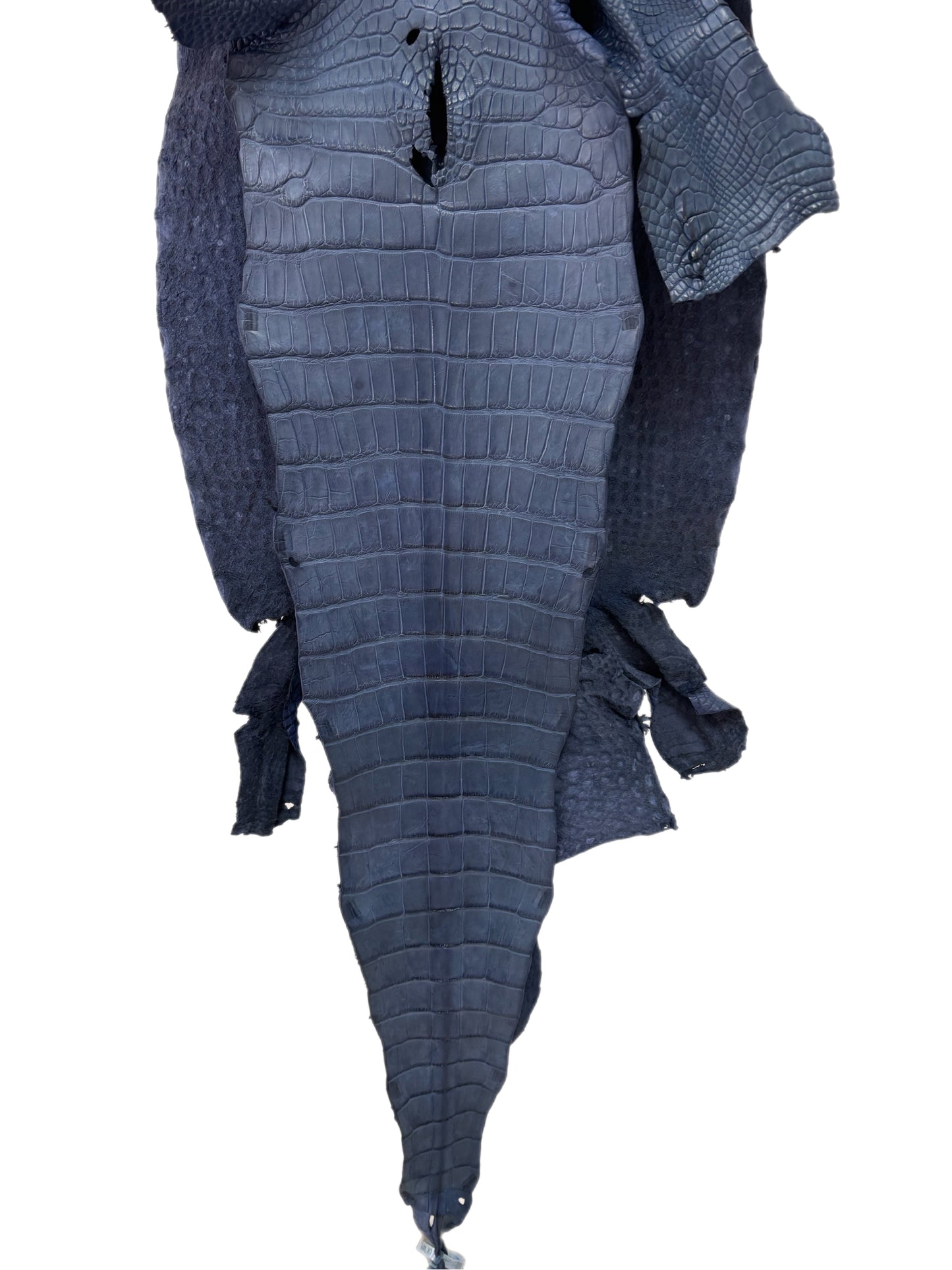 43 cm Grade 3/4 Indigo Matte Wild American Alligator Leather - Tag: LA23-0026587