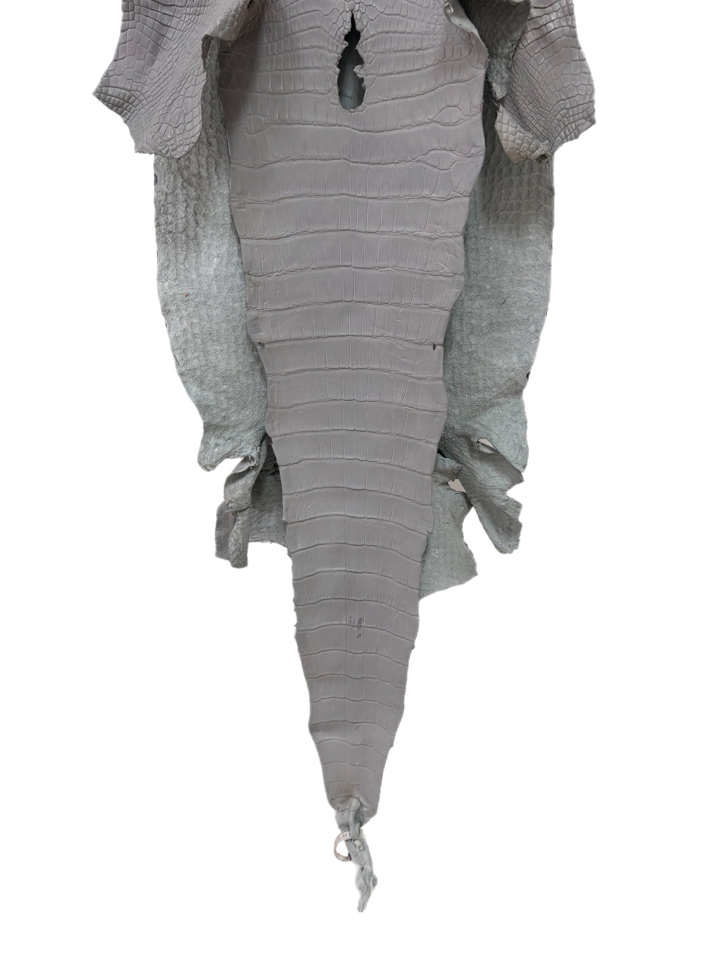 41 cm Grade 2/3 Glacier Matte Wild American Alligator Leather - Tag: LA23-0029496