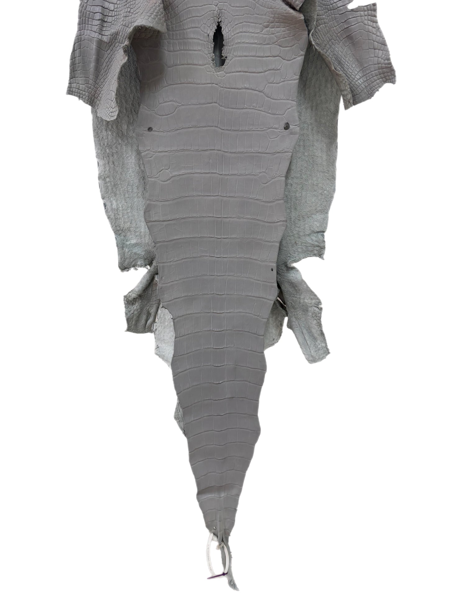 41 cm Grade 2/3 Glacier Matte Wild American Alligator Leather - Tag: LA23-0030516