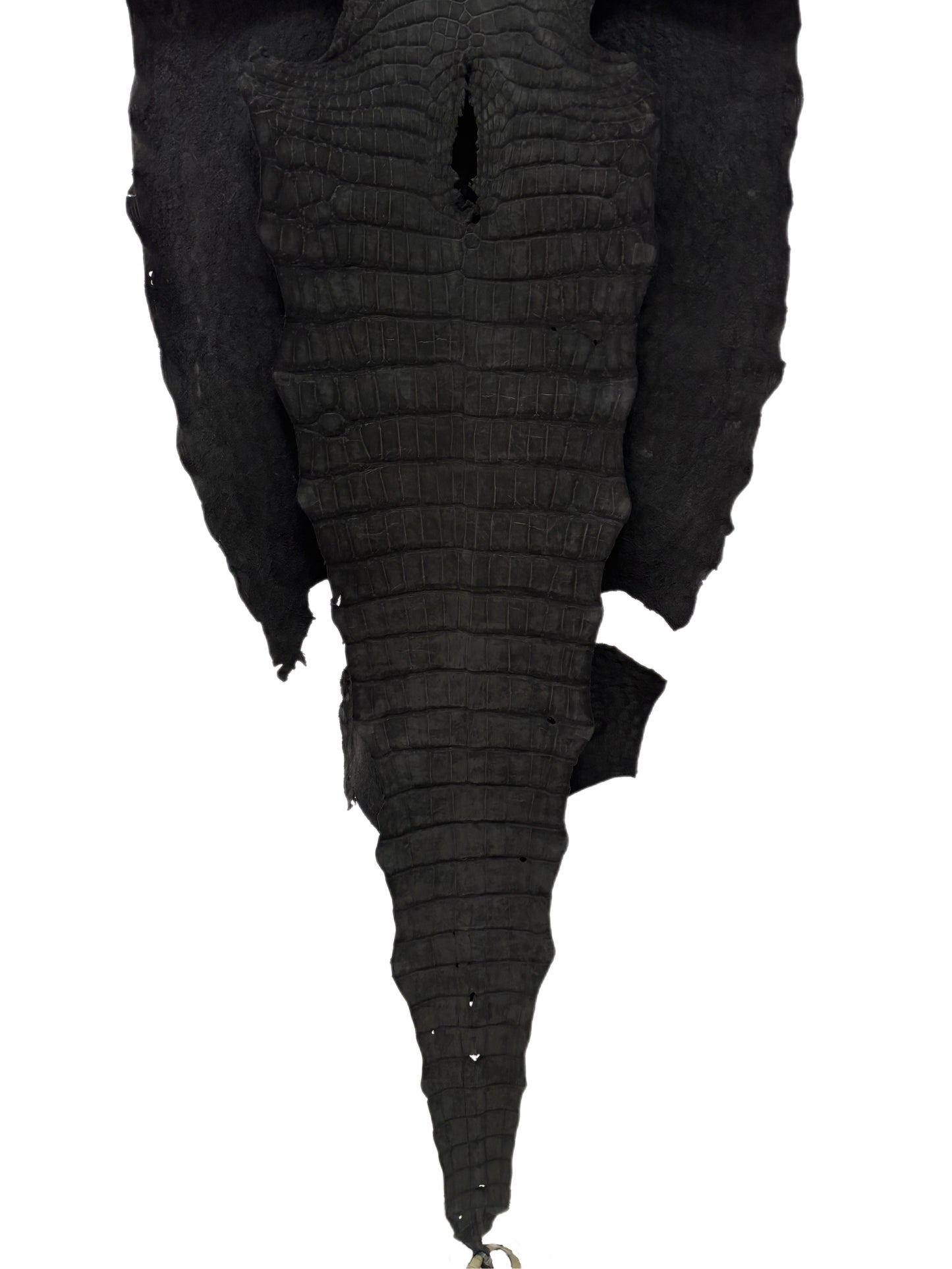 47 cm Grade 3/4 Black Nubuck Wild American Alligator Leather - Tag: LA23-0003358