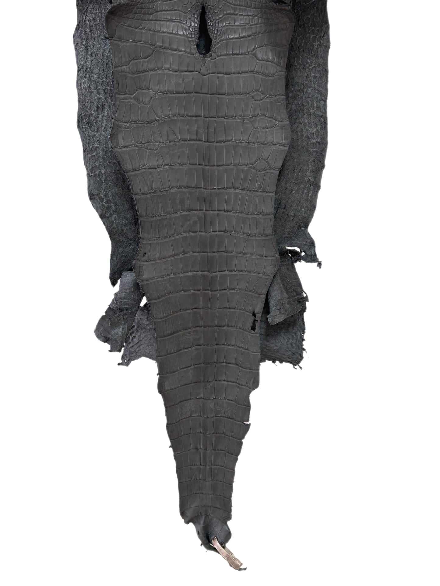 38 cm Grade 3/4 Serpentine Grey Matte Wild American Alligator Leather - Tag: TX23-0016406