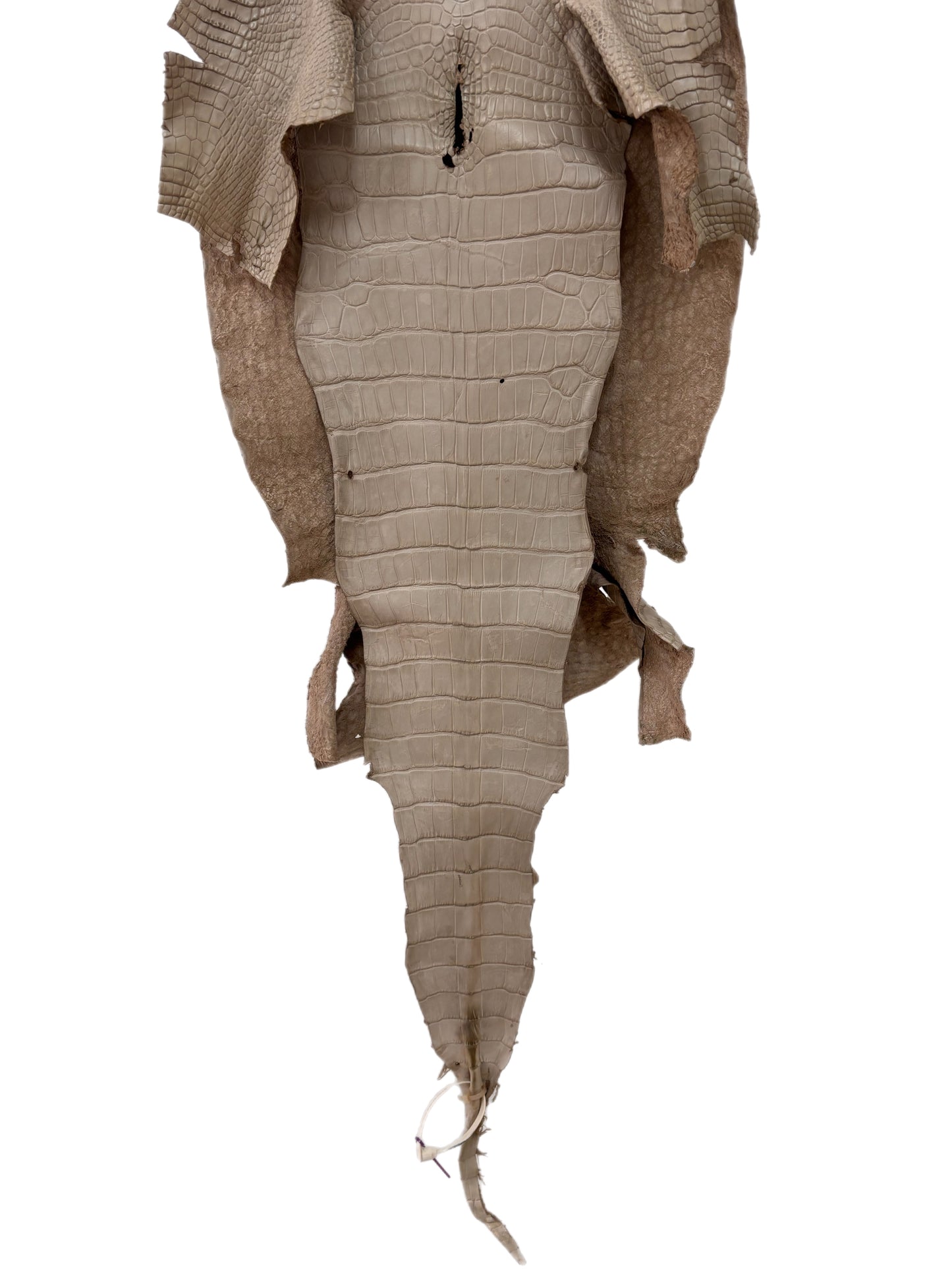 39 cm Grade 2/3 Stormy Matte Wild American Alligator Leather - Tag: LA23-0029512