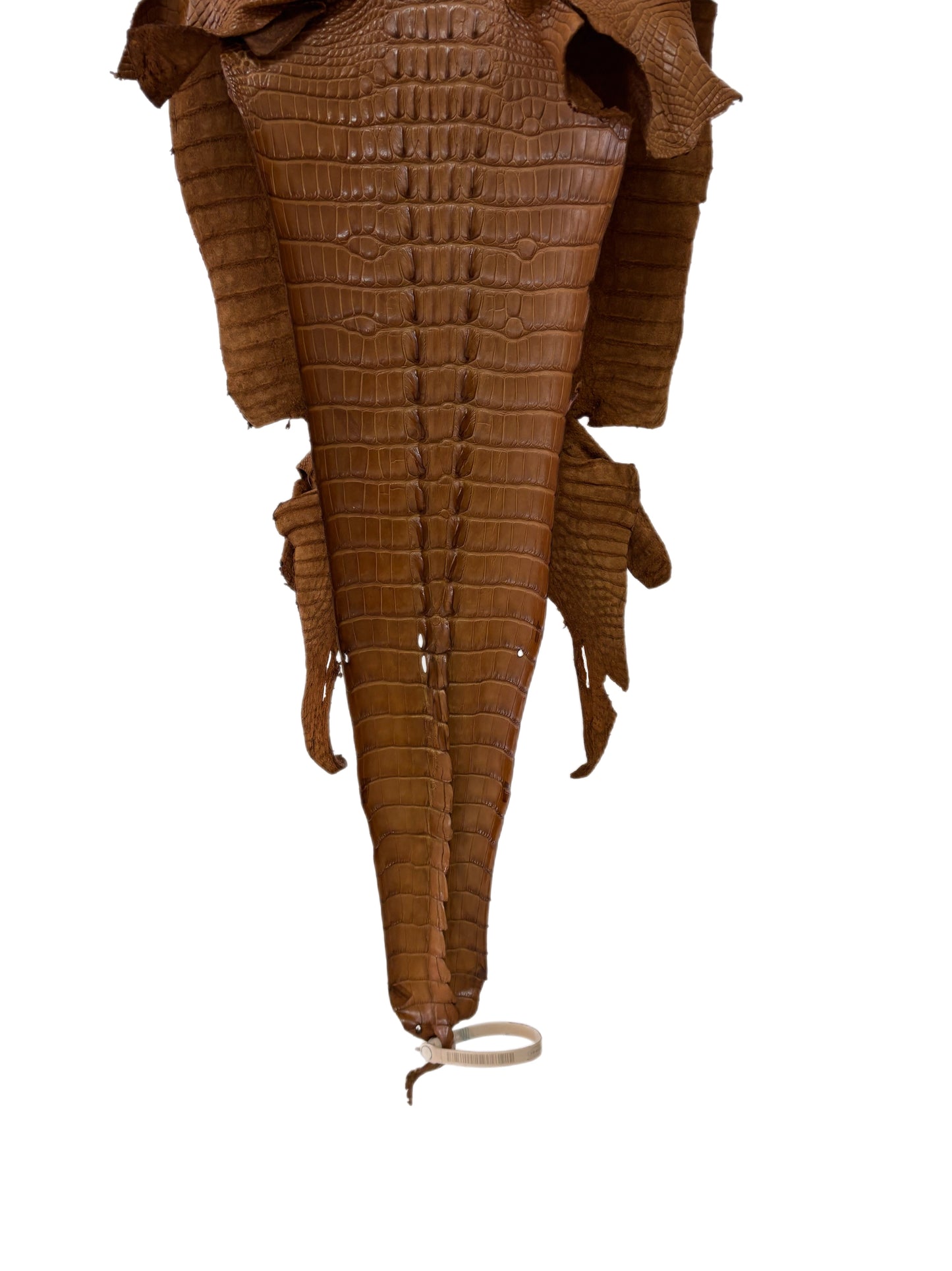33 cm Grade 1/2 Kango Tabac Matte Farm-Raised American Alligator Leather - Tag: LA23-0377174