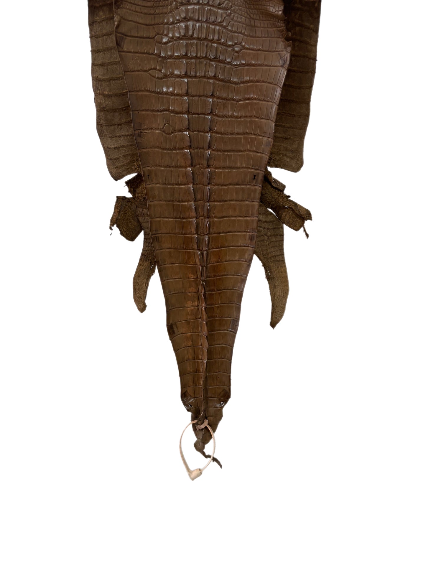 29 cm Grade 1/2 Mink Matte Farm-Raised American Alligator Hornback Leather - Tag: LA23-0377078