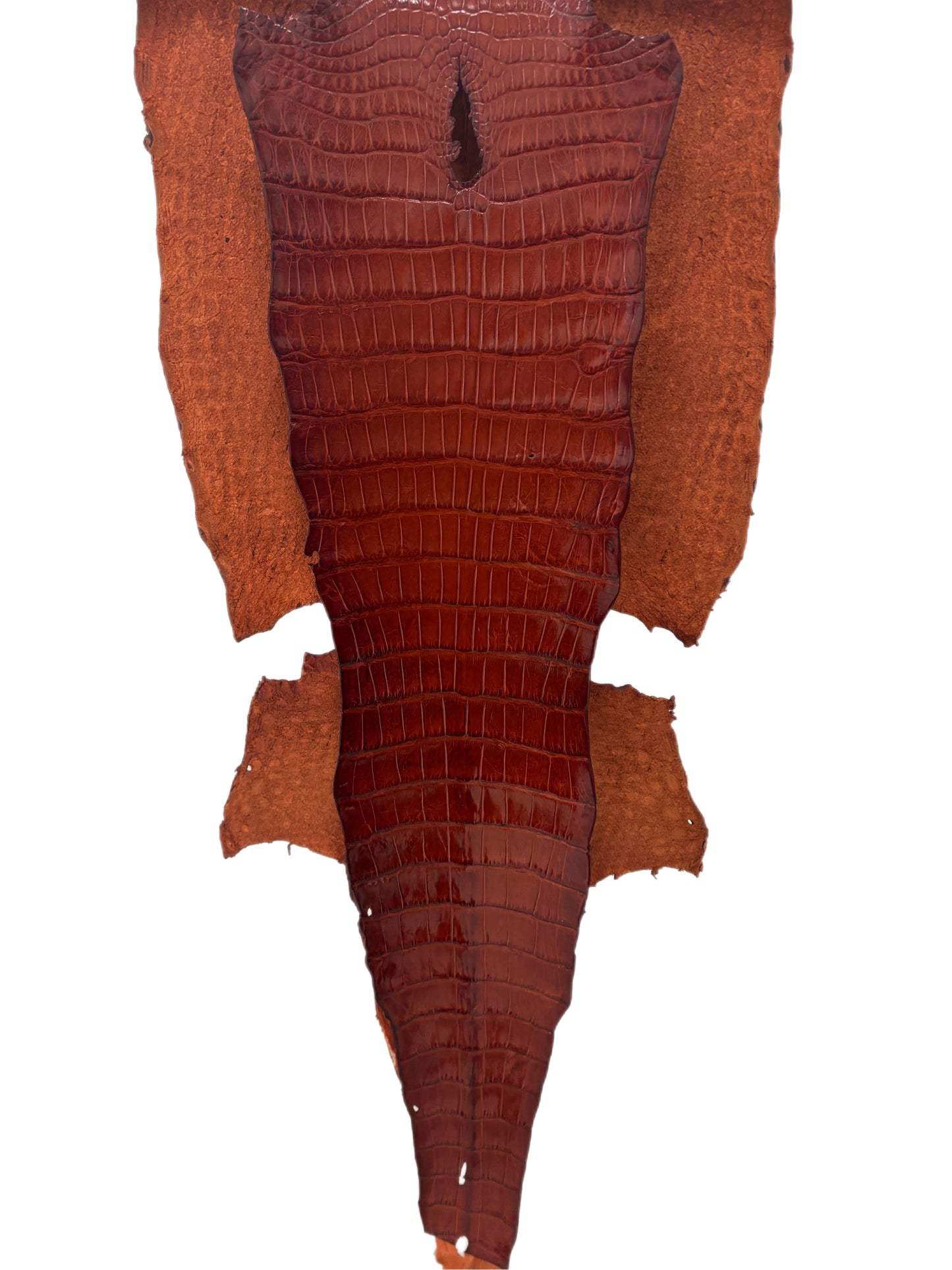 40 cm Grade 1/2 Peanut Millennium Wild American Alligator Leather - Tag: LA18-0013382