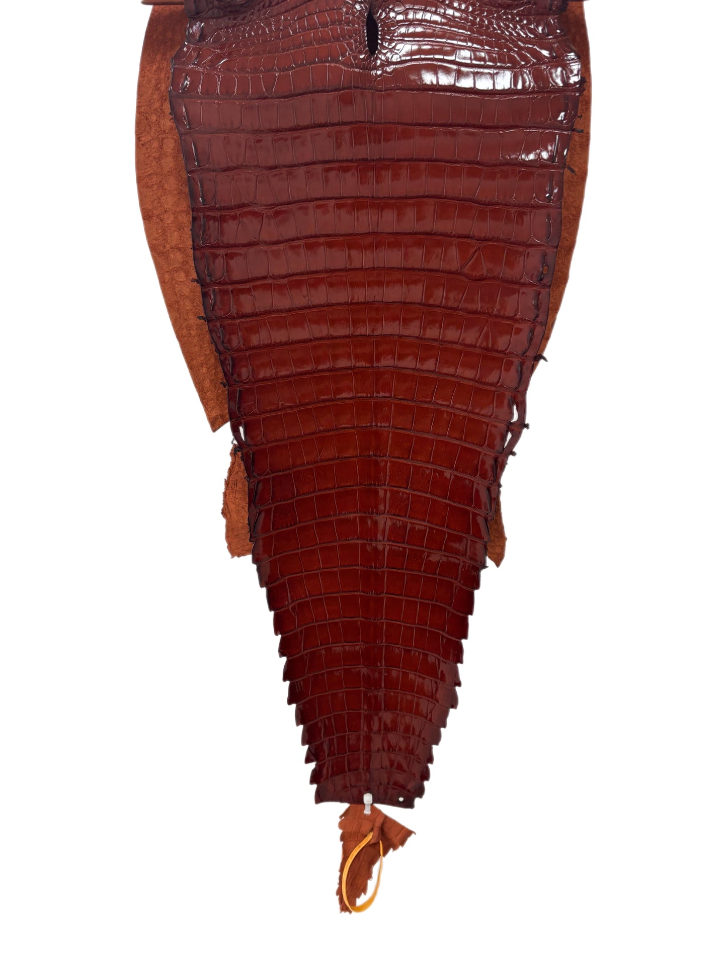 35 cm Grade 1/2 Peanut Millennium Farm-Raised American Alligator Leather - Tag: FL17-0052963
