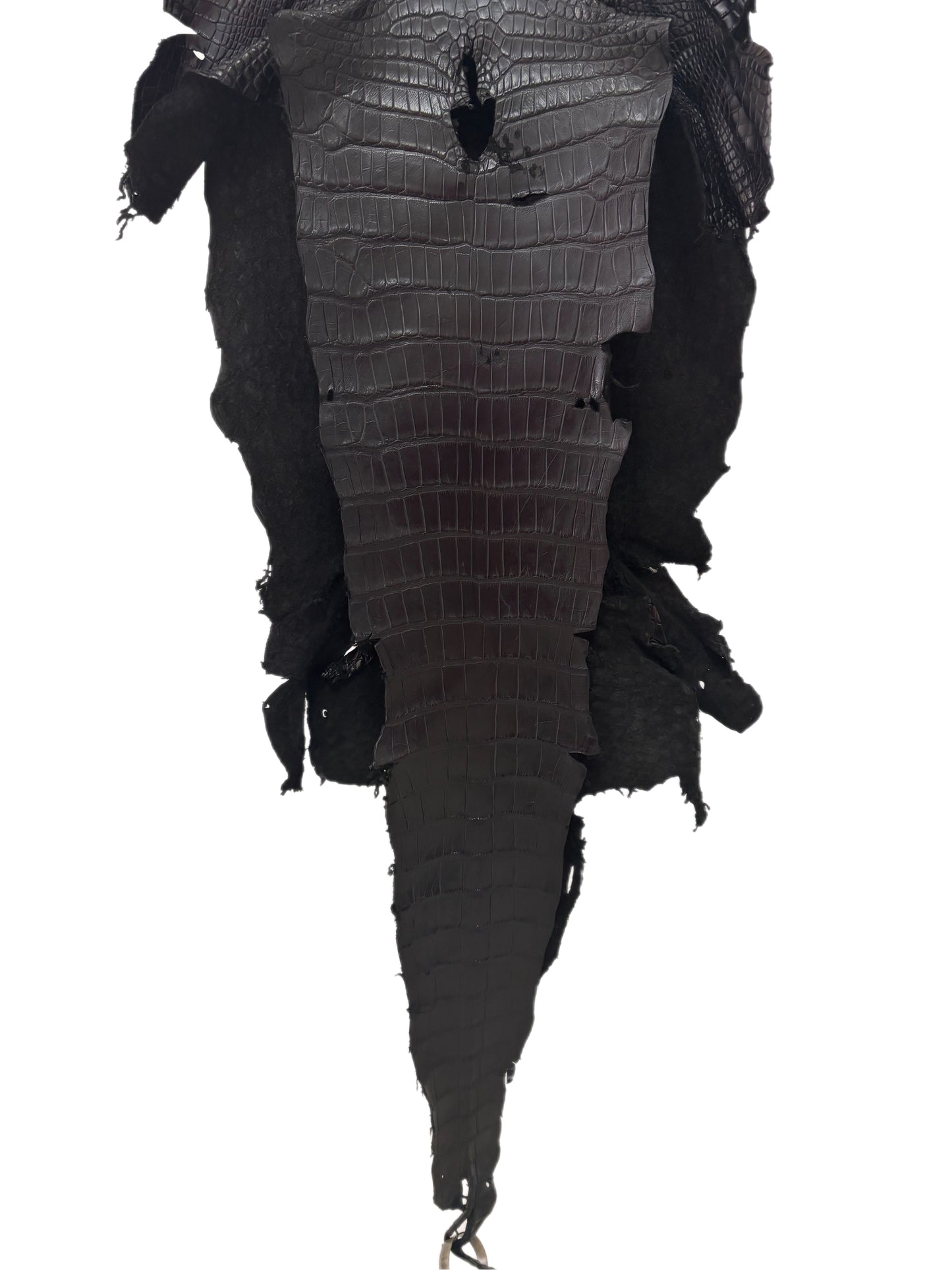 38 cm Grade 4/5 Black Matte Wild American Alligator Leather - Tag: LA23-0022873