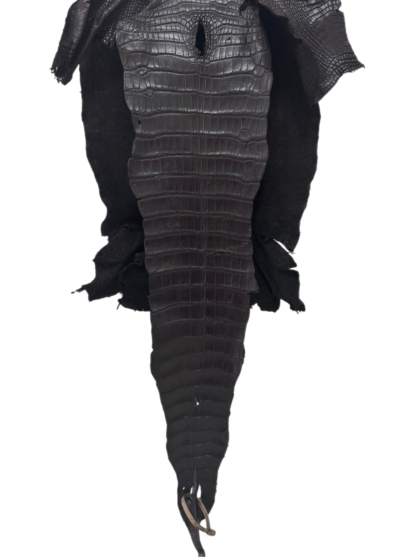 38 cm Grade 3/4 Black Matte Wild American Alligator Leather - Tag: LA16-0031067