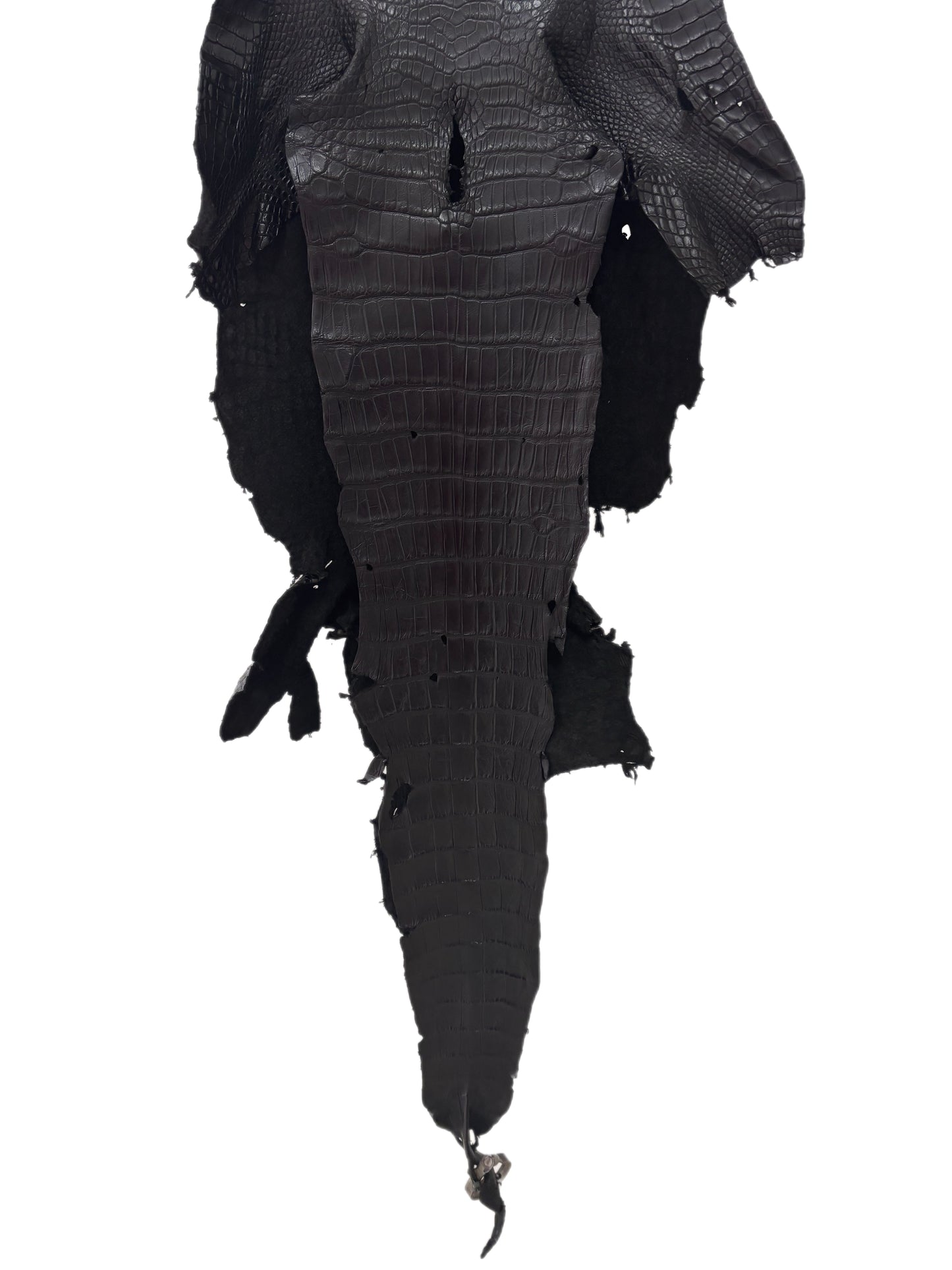 35 cm Grade 4/5 Black Matte Wild American Alligator Leather - Tag: LA23-0019768