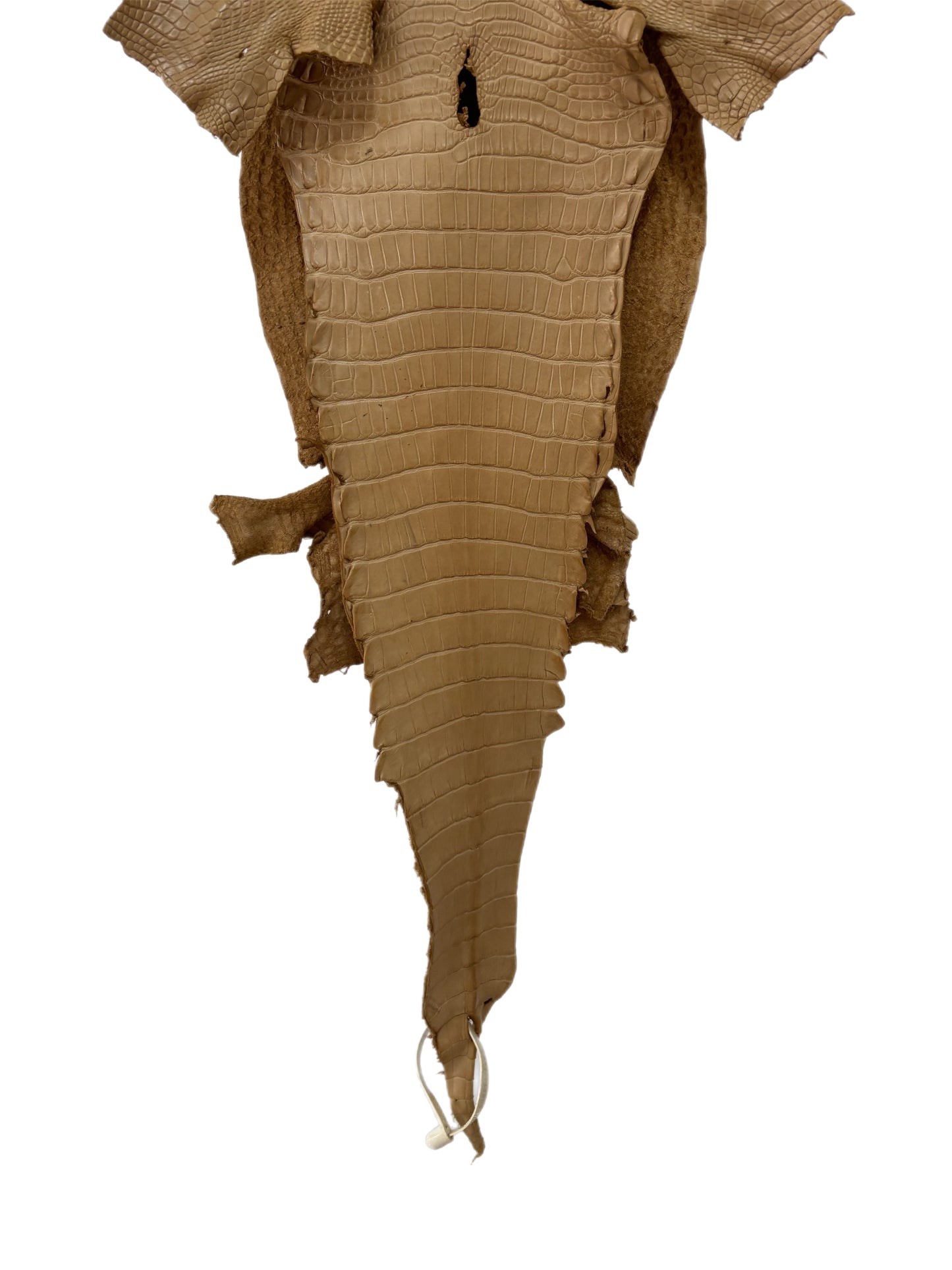 25 cm Grade 3/4 Antique Saddle Matte Farm-Raised American Alligator Leather - Tag: LA17-0133653