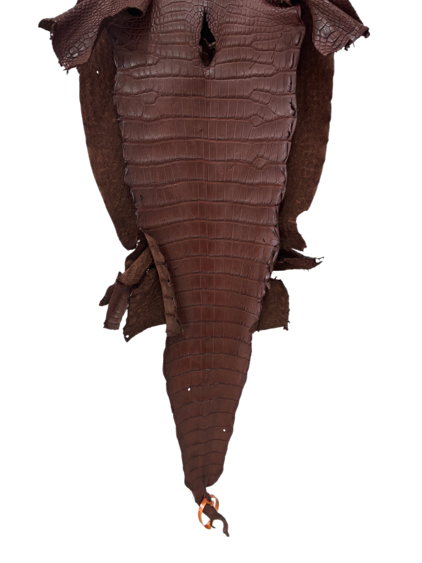 38 cm Grade 4/5 Chesnut Matte Wild American Alligator Leather - Tag: LA23-0051758