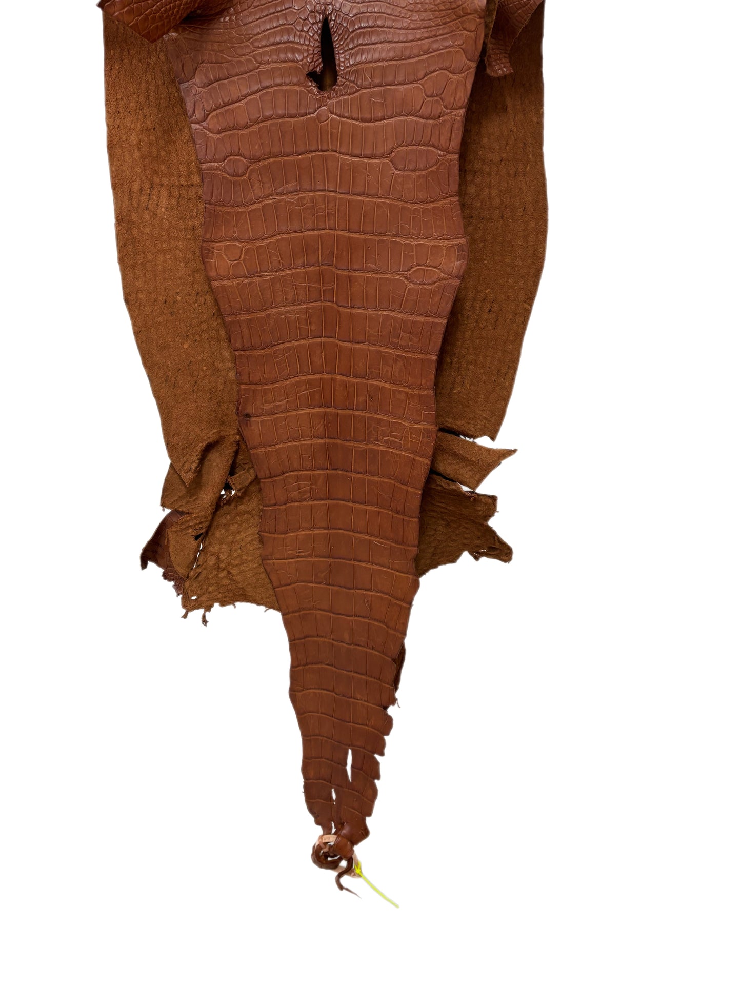 43 cm Grade 4/5 Cognac Matte Wild American Alligator Leather - Tag: LA23-0003631