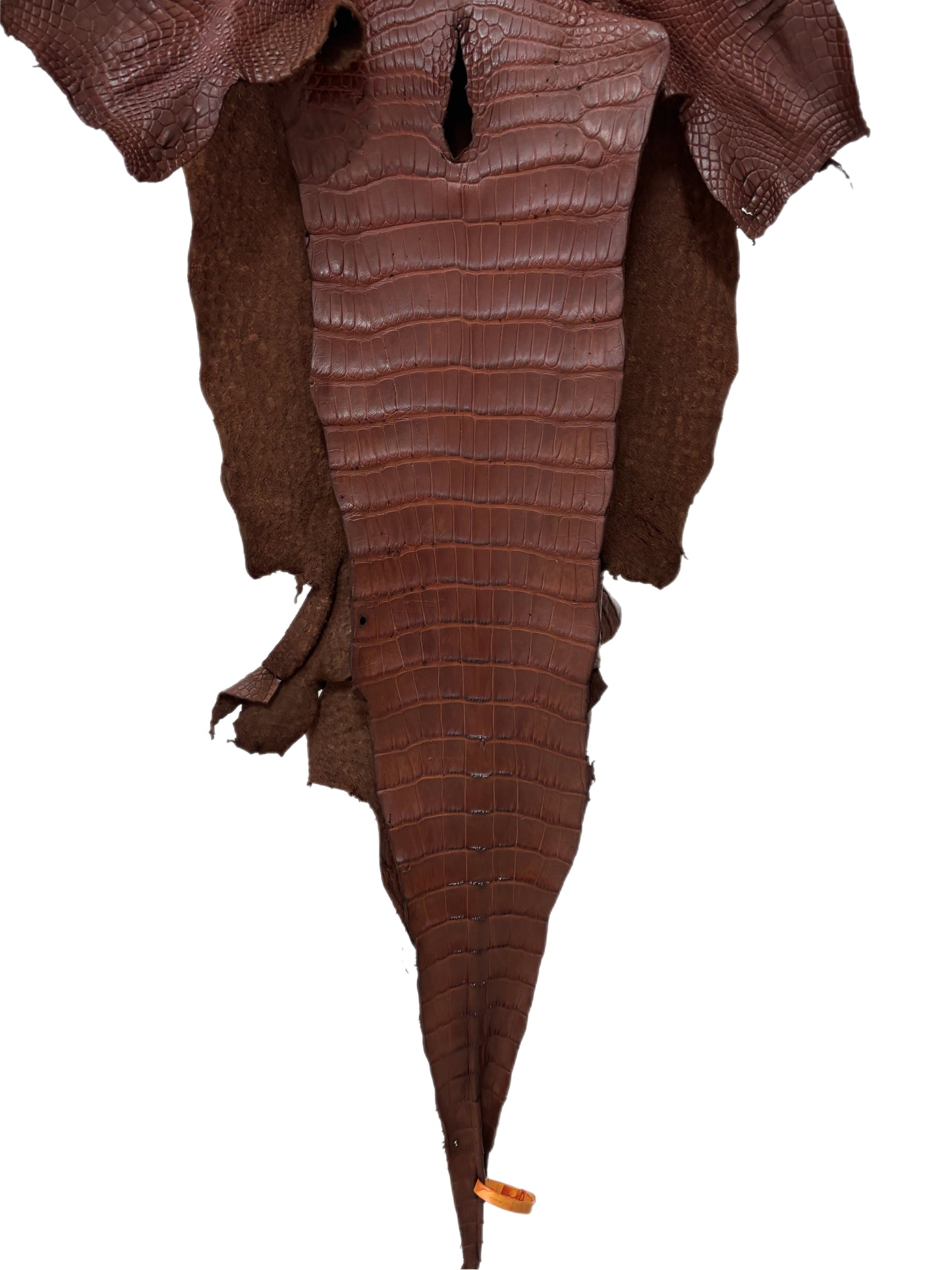 37 cm Grade 4/5 Chesnut Matte Wild American Alligator Leather - Tag: LA17-0011691