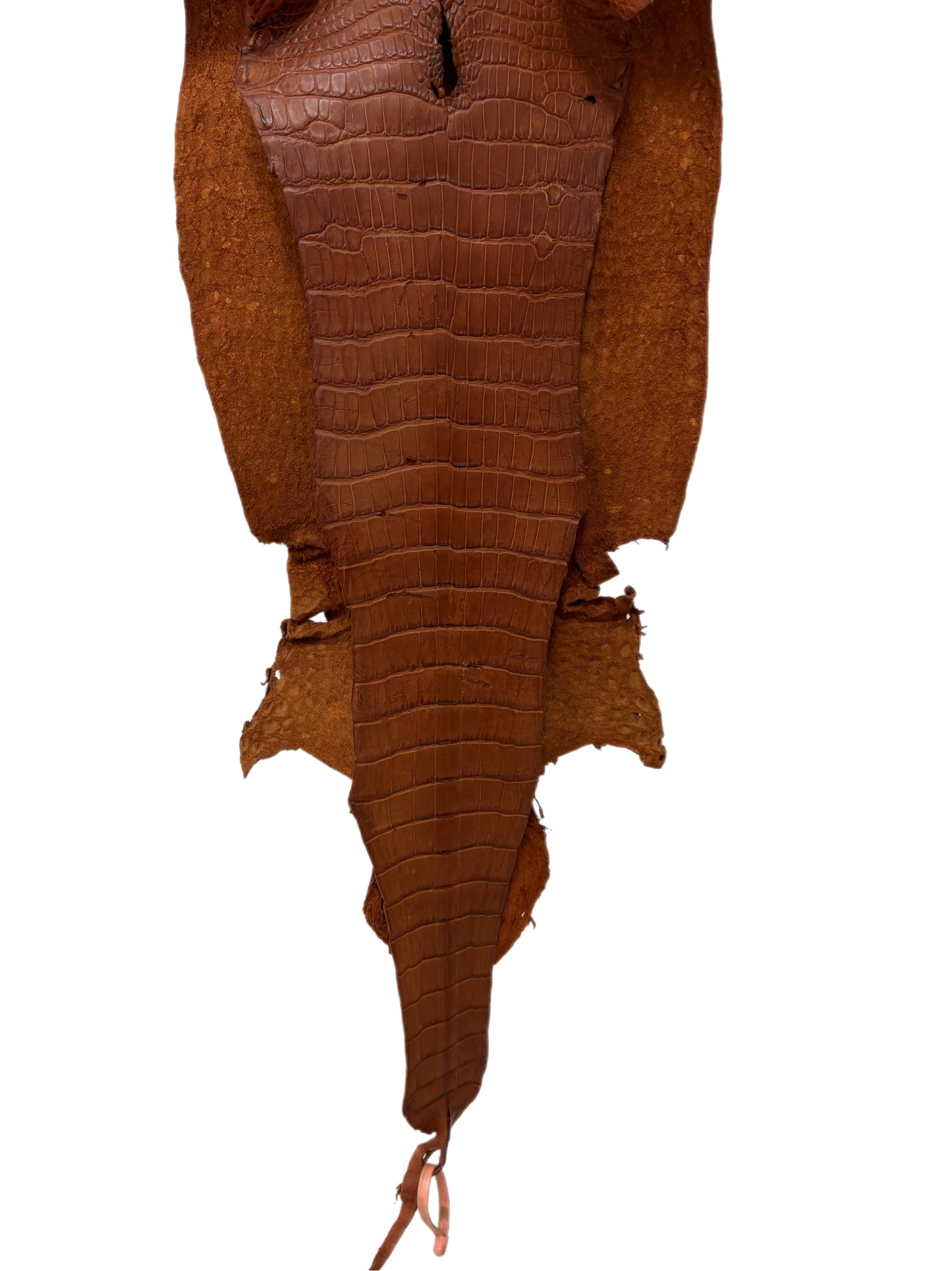 38 cm Grade 3/4 Cognac Matte Wild American Alligator Leather - Tag: LA21-0101420