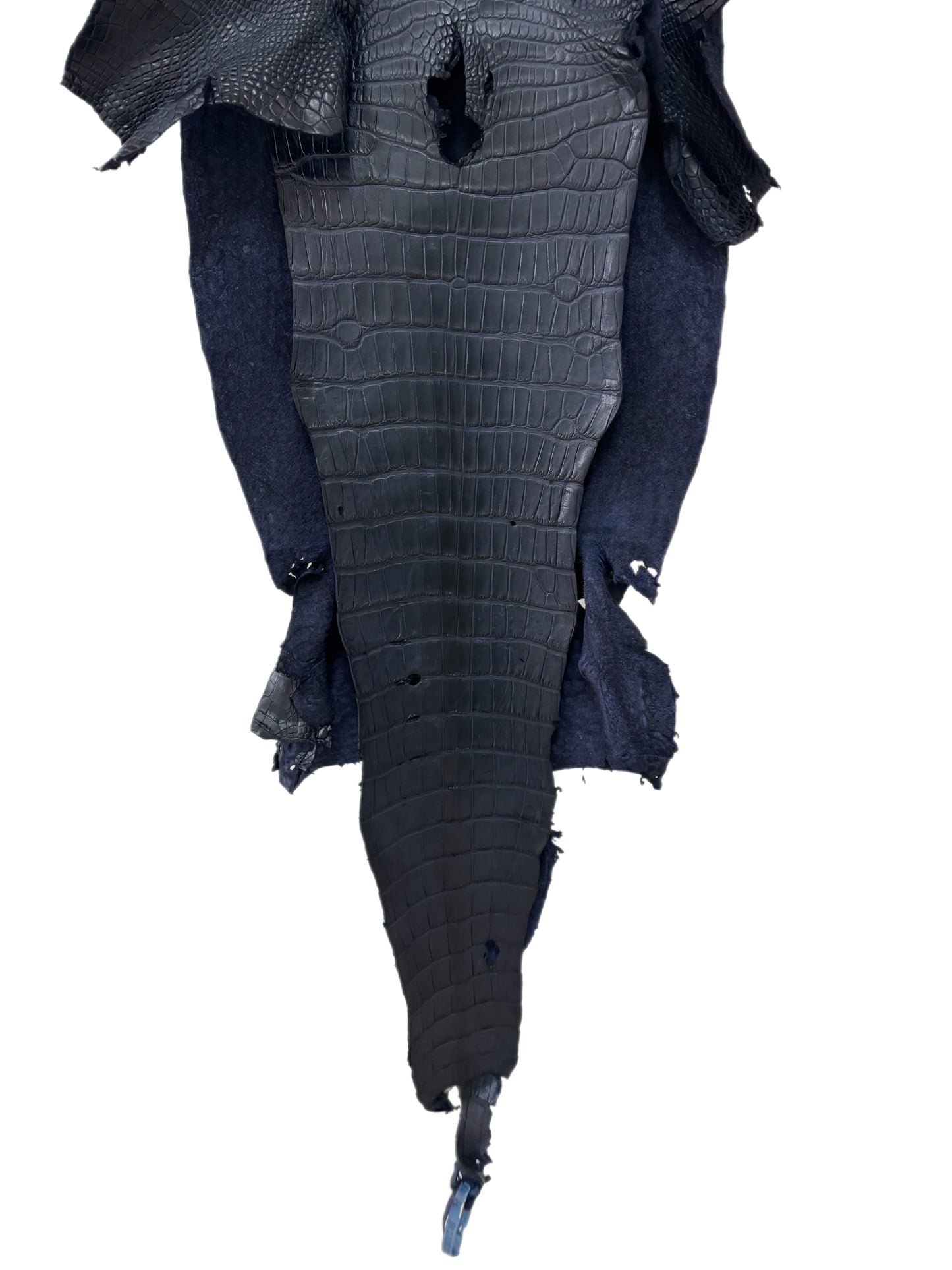 36 cm Grade 3/4 Navy Blue Matte Wild American Alligator Leather - Tag: TX23-0012292