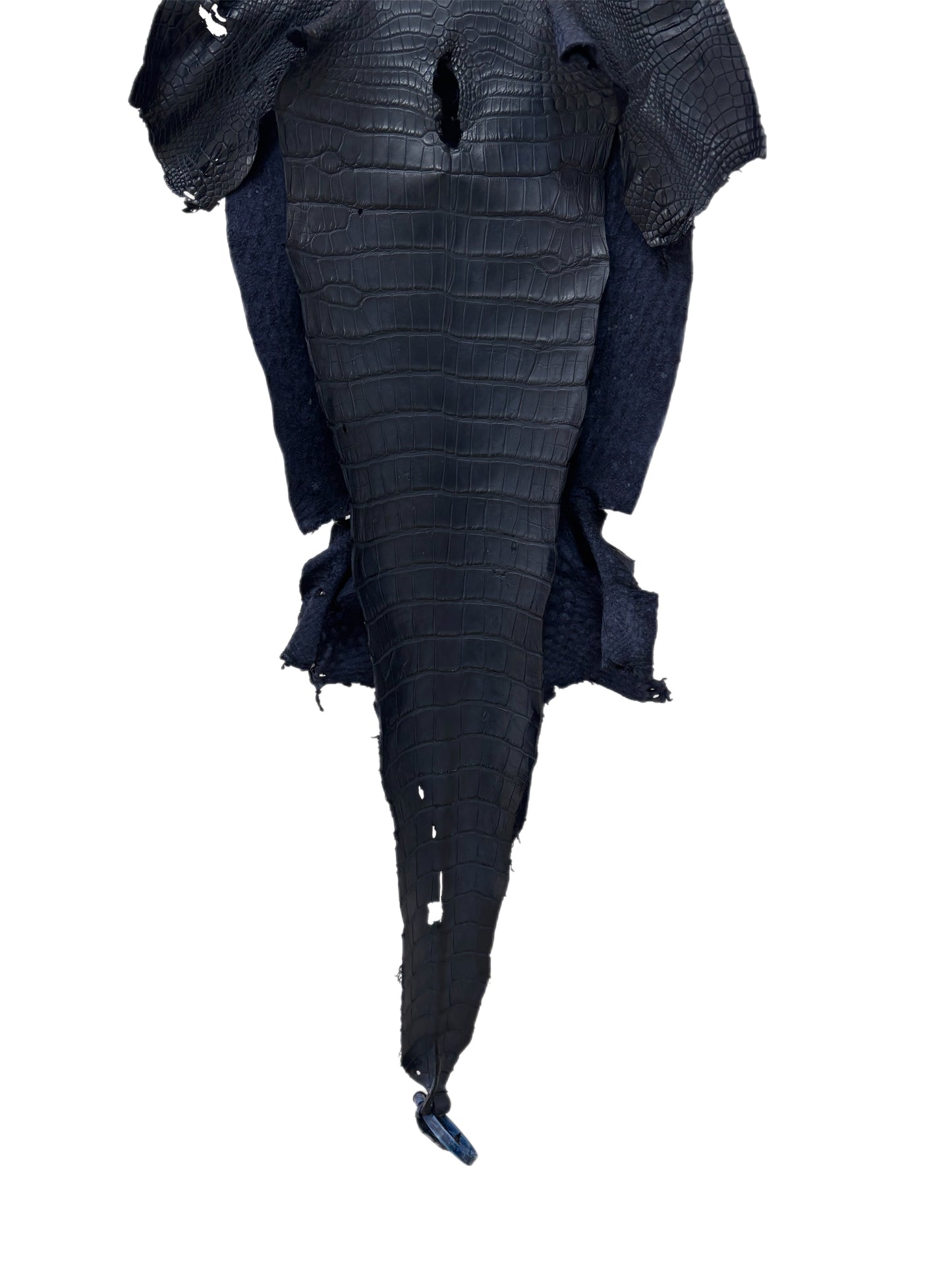 37 cm Grade 2/3 Navy Blue Matte Wild American Alligator Leather - Tag: LA23-0001239