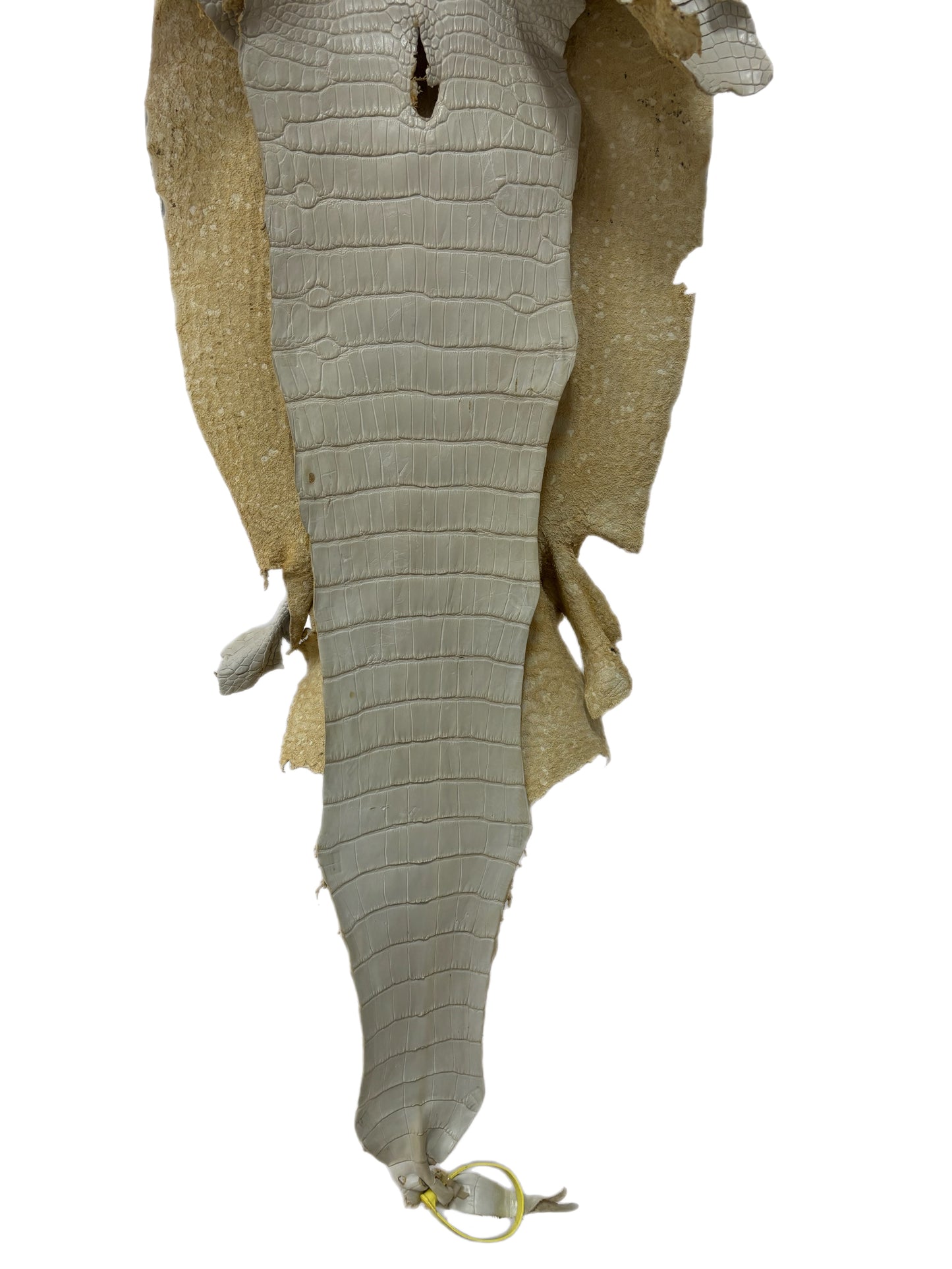 34 cm Grade 2/3 Dune Matte Wild American Alligator Leather - Tag: LA25-0009799