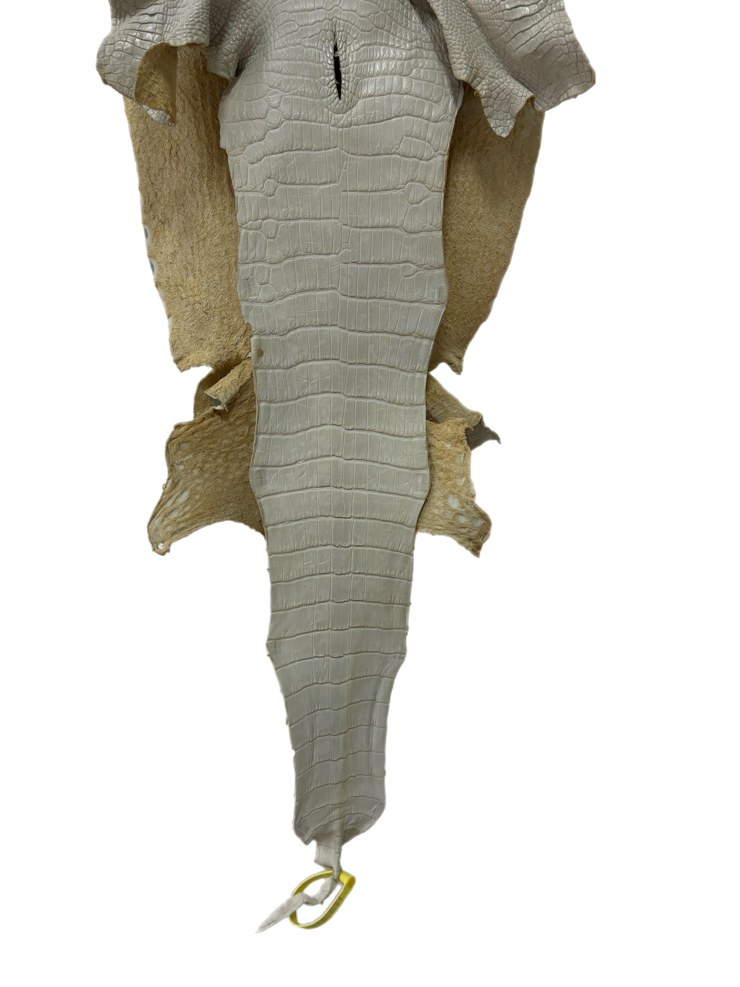 36 cm Grade 2/3 Dune Matte Wild American Alligator Leather - Tag: LA25-0001667