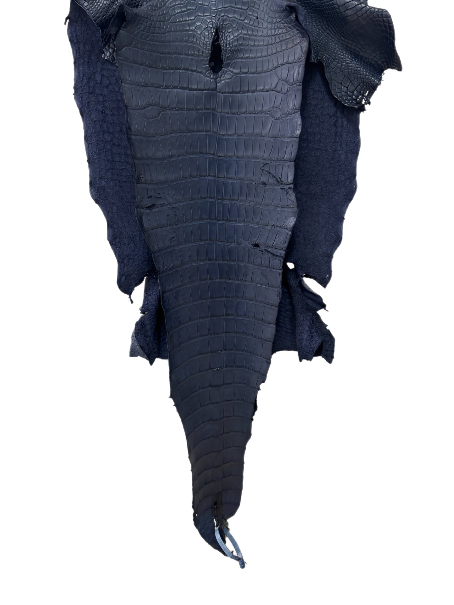 41 cm Grade 1/2 Navy Blue Matte Wild American Alligator Leather - Tag: LA17-0038282
