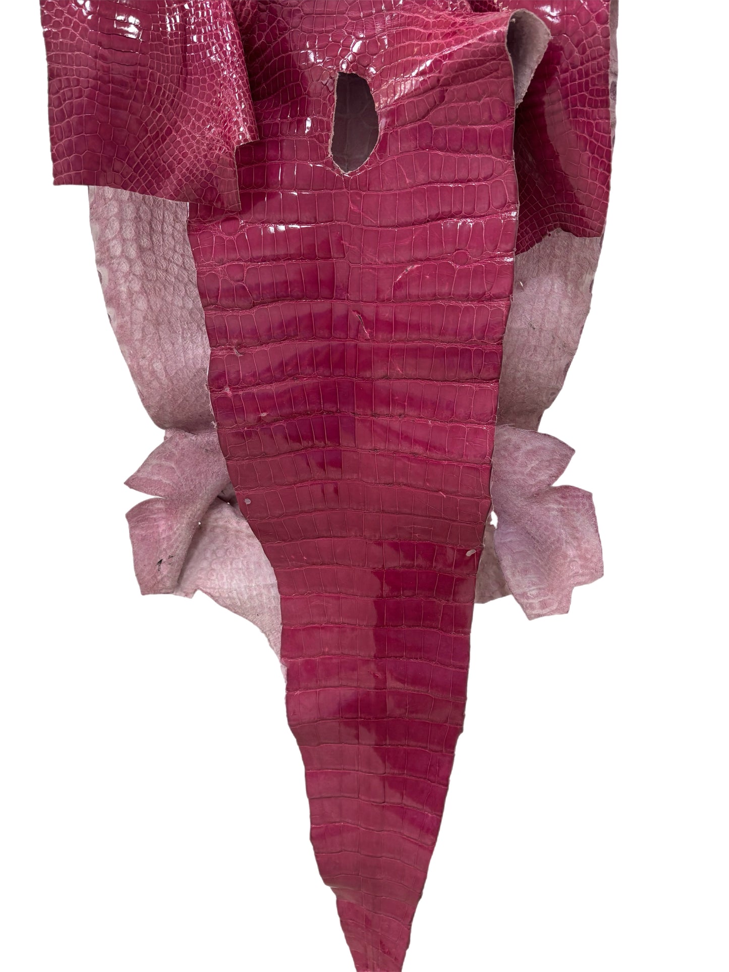 41 cm Grade 3/4 Fuchsia Classic Wild American Alligator Leather - Tag: LA13-0030363