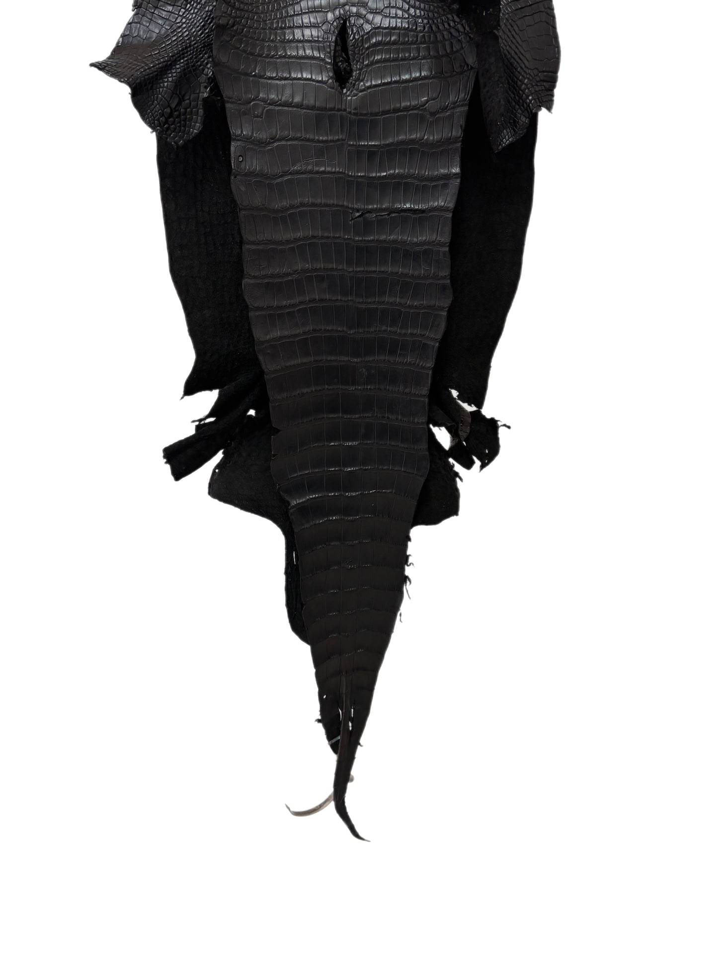 36 cm Grade 3/4 Black Matte Wild American Alligator Leather - Tag: LA17-0019419
