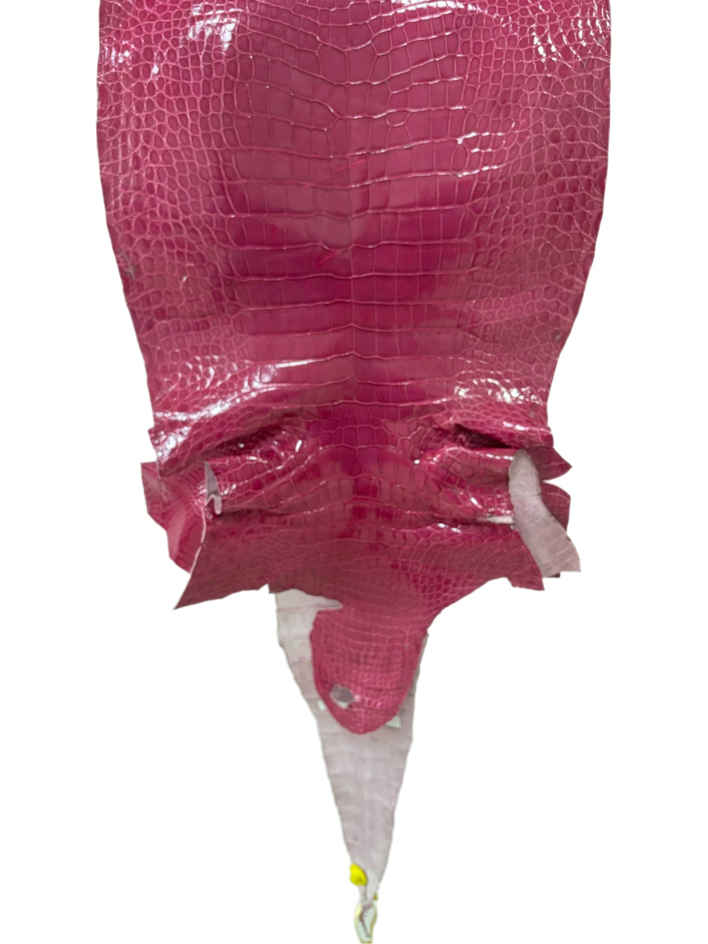 41 cm Grade 3/4 Fuchsia Classic Wild American Alligator Leather - Tag: LA13-0030363