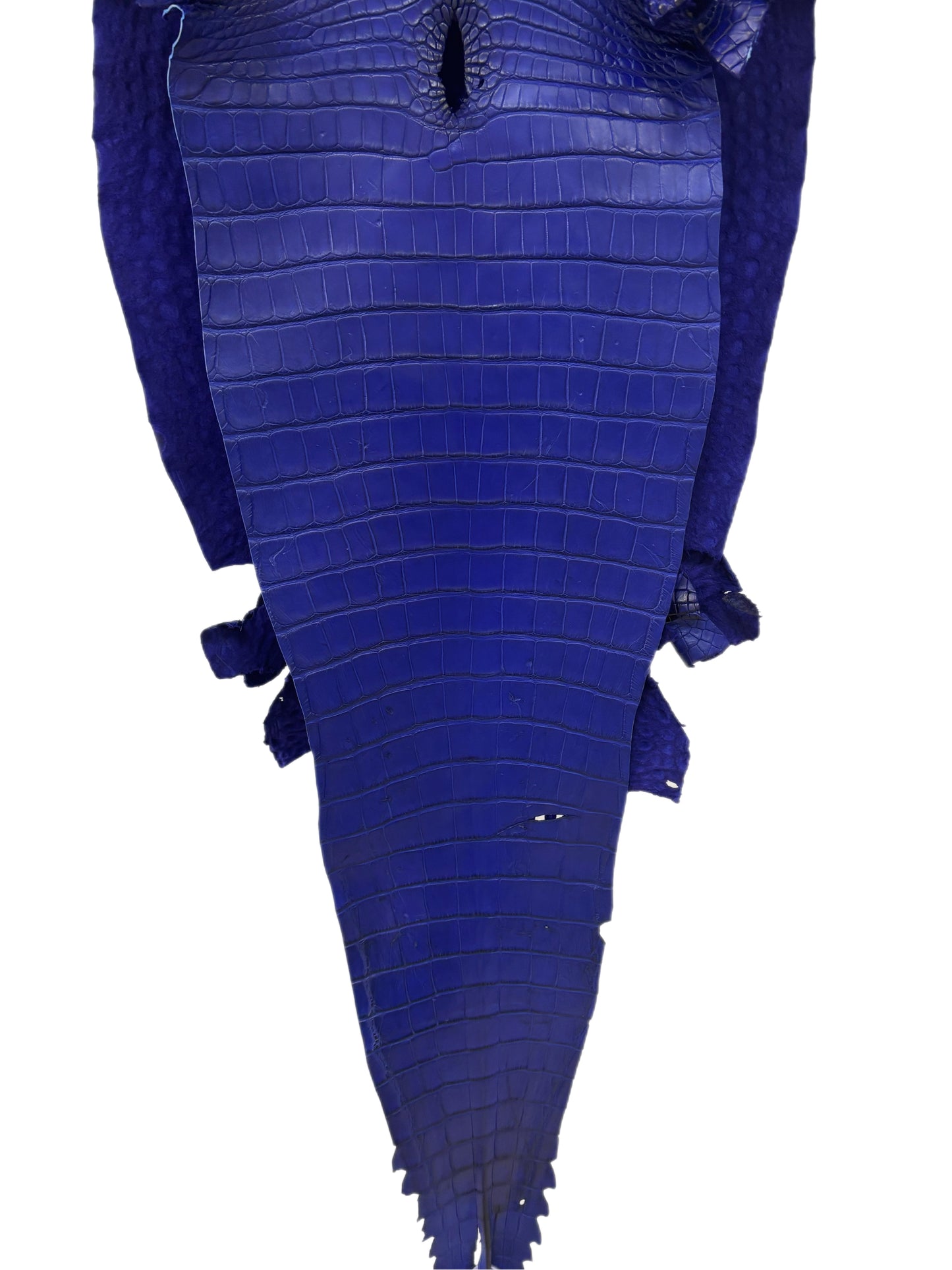 39 cm Grade 3/4 Cobalt Blue Matte Farm-Raised American Alligator Leather - Tag: FL18-0052200