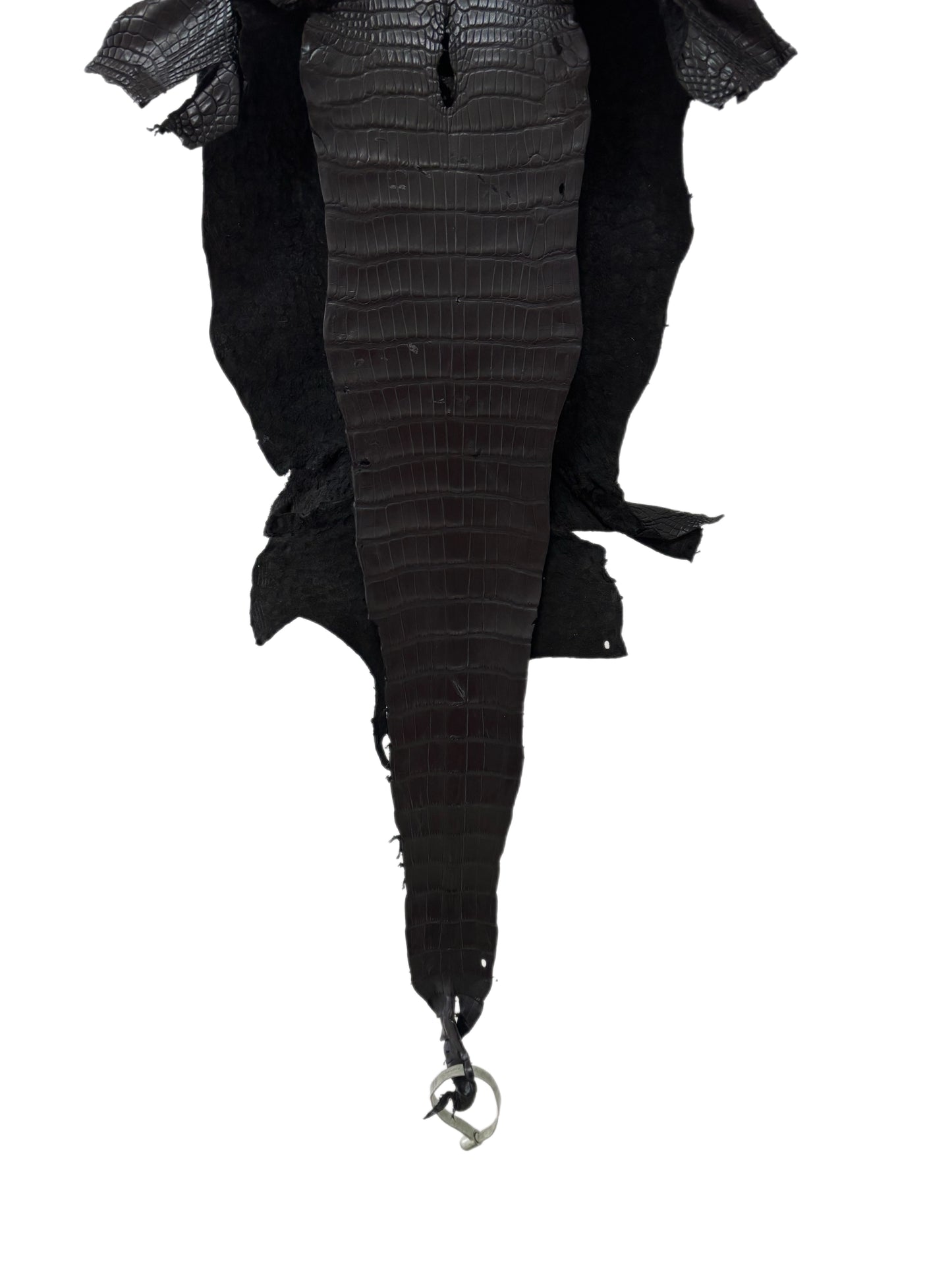 28 cm Grade 1/2 Black Matte Wild American Alligator Leather - Tag: LA17-0053617