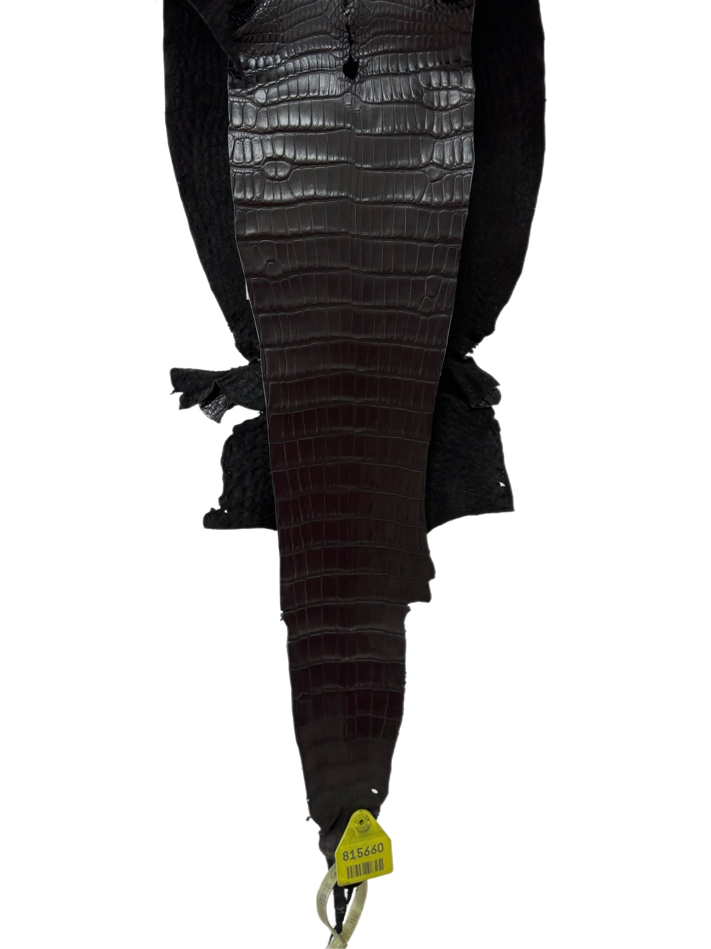 22 cm Grade 1 Black Matte Wild American Alligator Leather - Tag: LA09-0107827