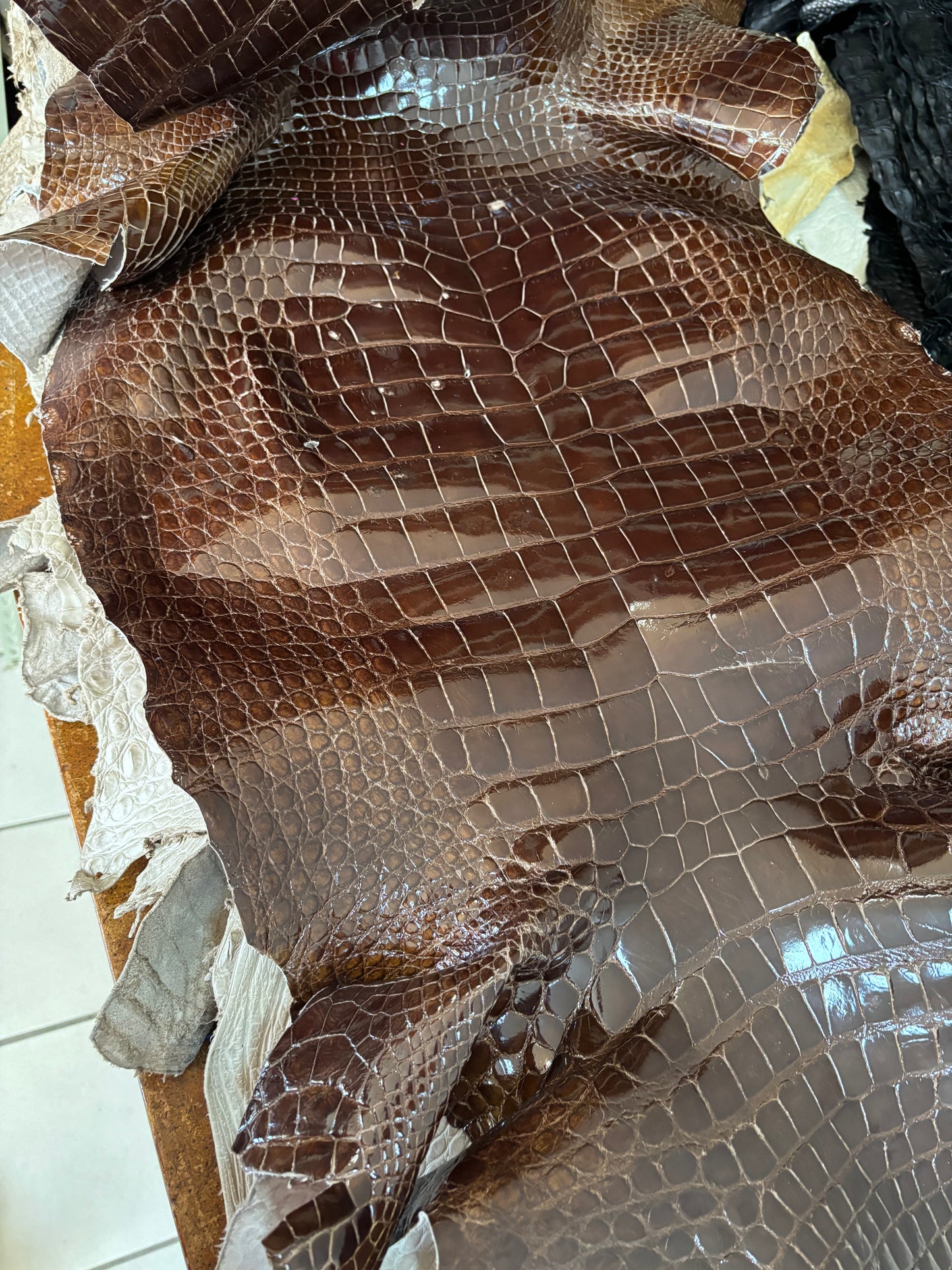 48 cm Grade 4/5 Sport Rust Brown Classic Wild American Alligator Leather