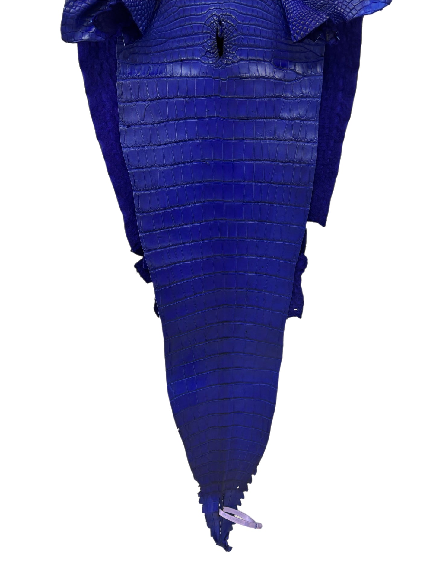 39 cm Grade 2/3 Cobalt Blue Matte Farm-Raised American Alligator Leather - Tag: FL18-0034652