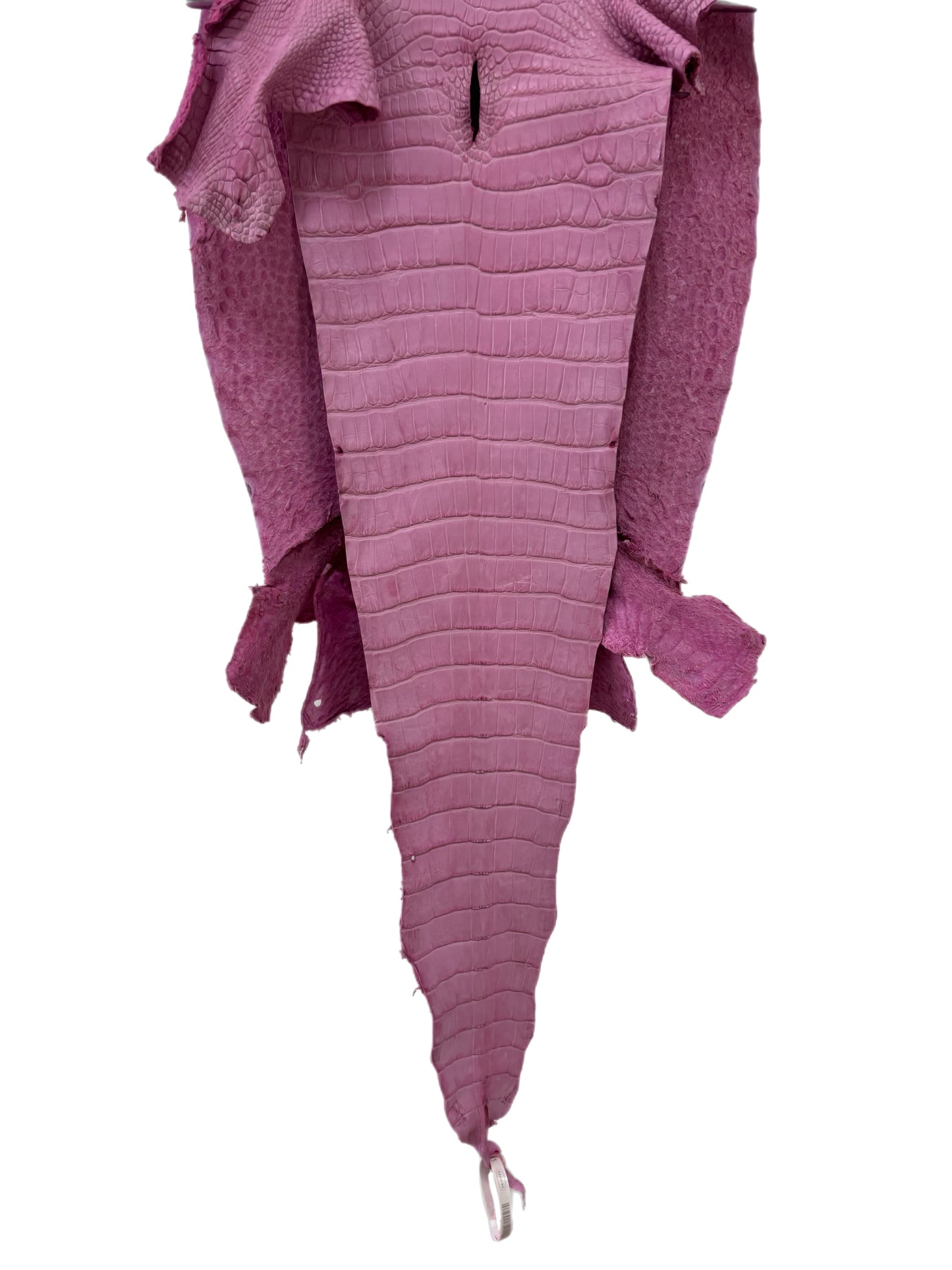 38 cm Grade 2/3 Cotton Candy Matte Wild American Alligator Leather - Tag: LA23-0051996
