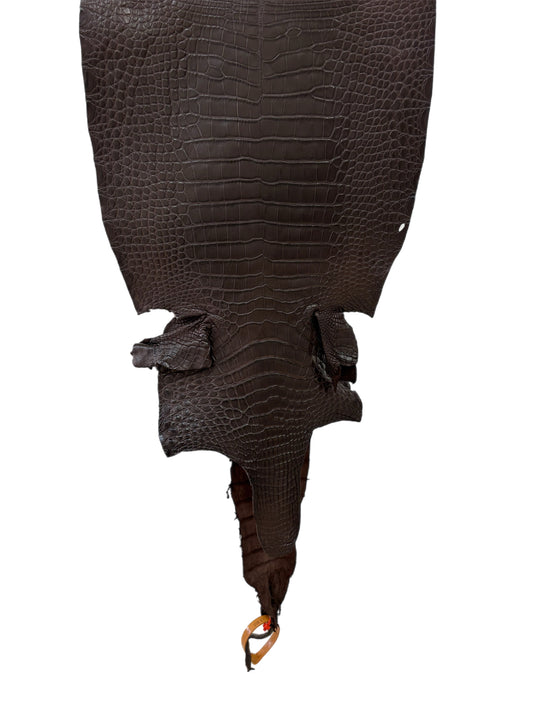 31 cm Grade 2/3 Chocolate Matte Farm-Raised American Alligator Leather - Tag: LA23-0531140