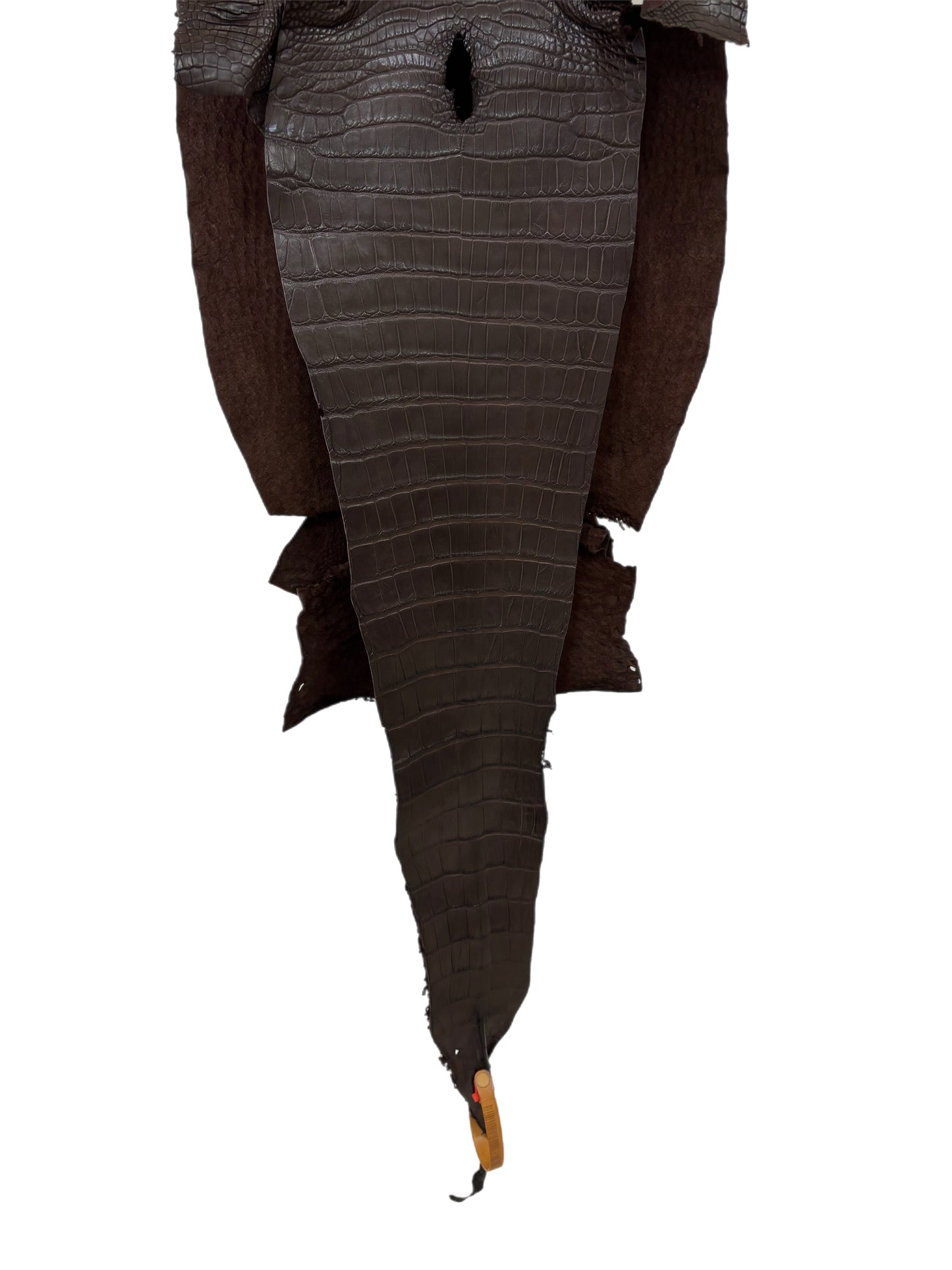 30 cm Grade 1/2 Chocolate Matte Farm-Raised American Alligator Leather - Tag: LA23-0531073