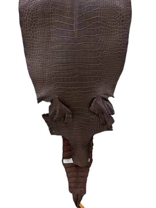 31 cm Grade 2/3 Chocolate Matte Farm-Raised American Alligator Leather - Tag: LA23-0531349