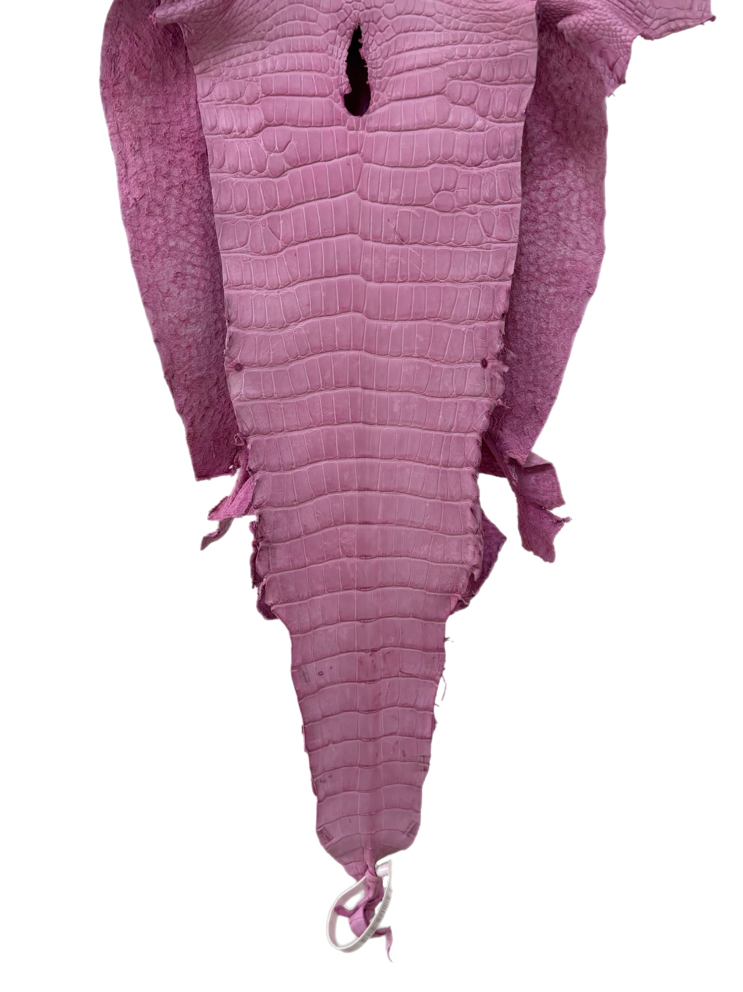 35 cm Grade 4/5 Cotton Candy Matte Wild American Alligator Leather - Tag: LA23-0038906