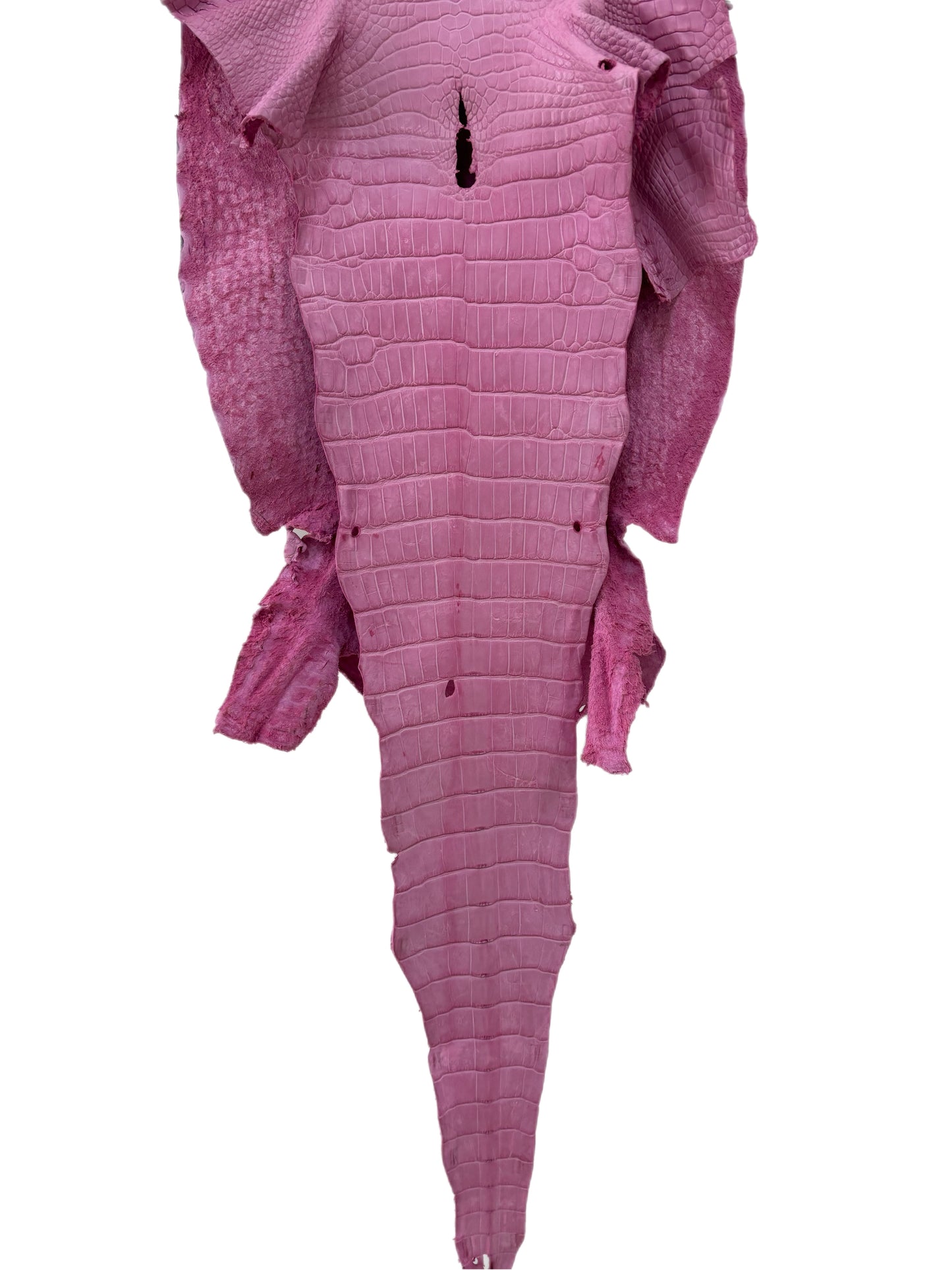 39 cm Grade 2/3 Cotton Candy Matte Wild American Alligator Leather - Tag: LA23-0030894