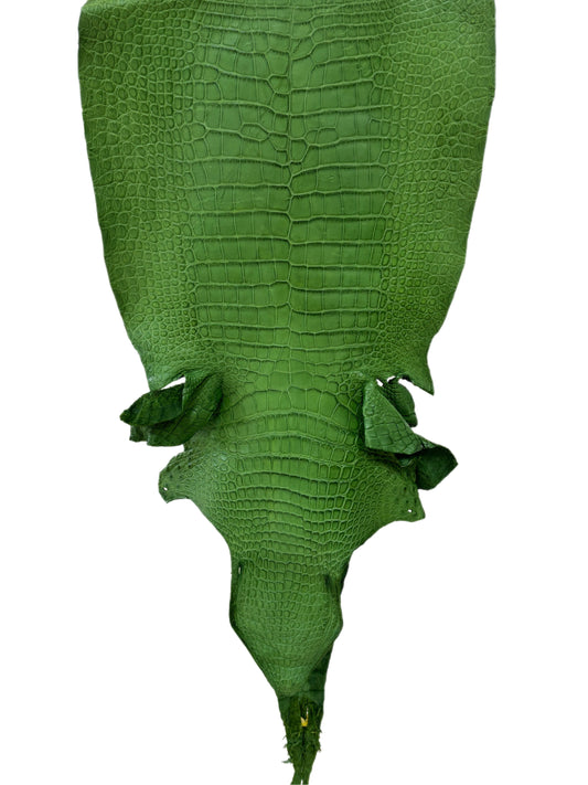 43 cm Grade 3/4 Jungle Green Matte Wild American Alligator Leather - Tag: LA23-0048190