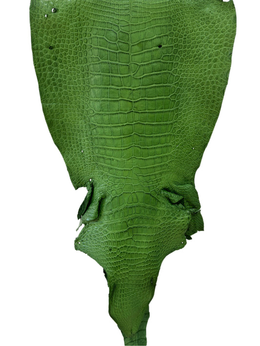 45 cm Grade 4/5 Jungle Green Matte Wild American Alligator Leather - Tag: LA23-0011019
