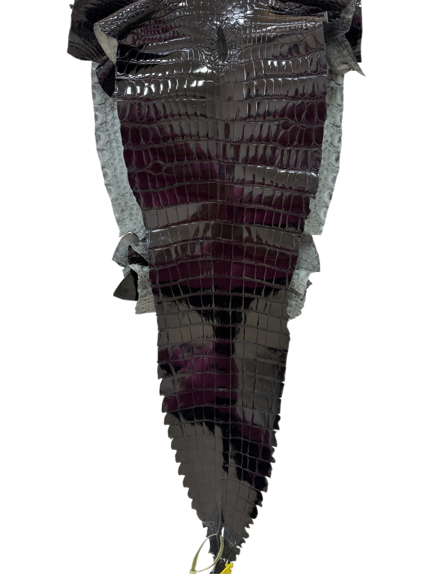 34 cm Grade 1/2 Black Glazed Farm American Alligator Leather - Tag: GA13-0044822