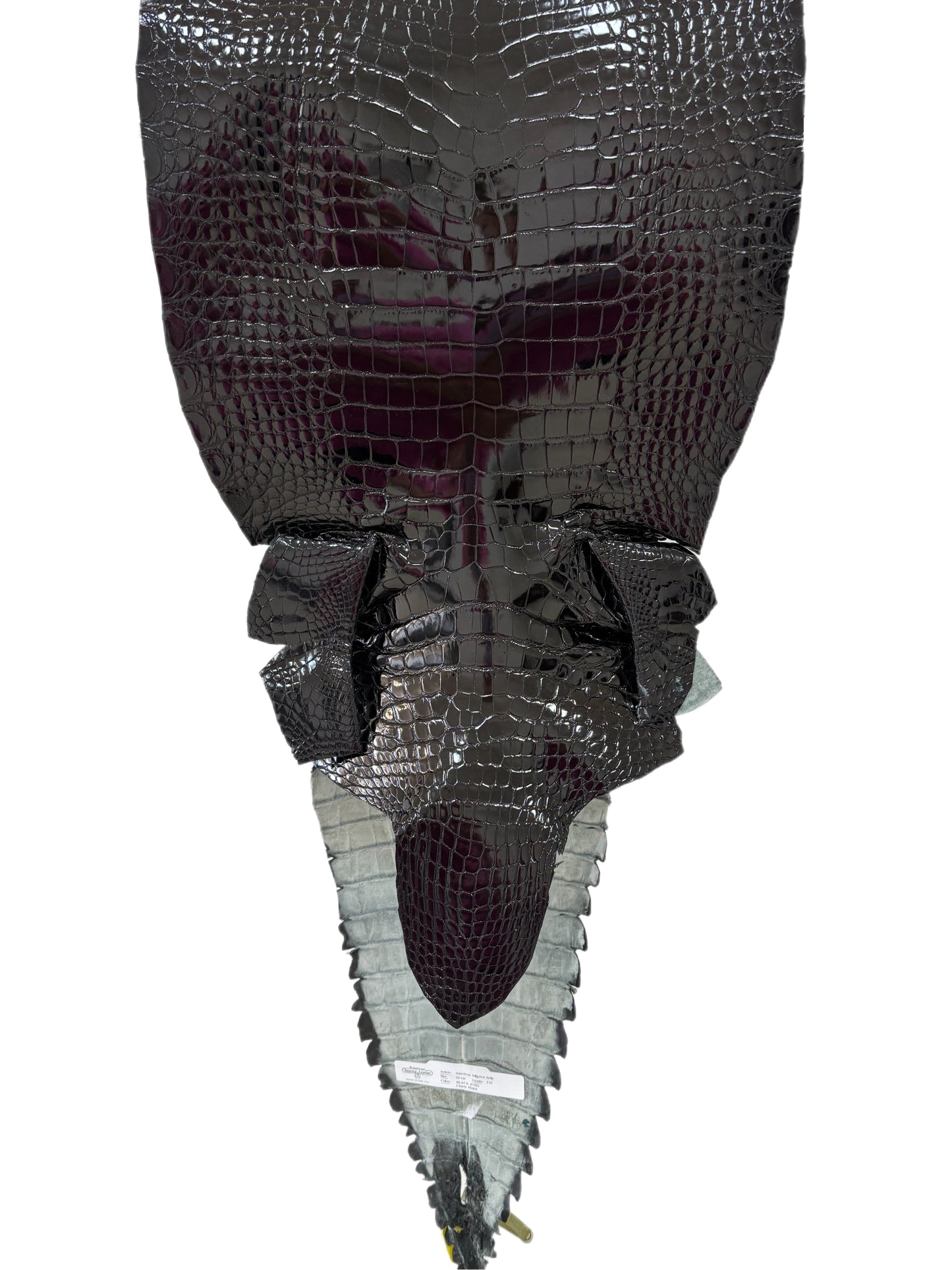 34 cm Grade 1/2 Black Glazed Farm American Alligator Leather - Tag: GA13-0044822