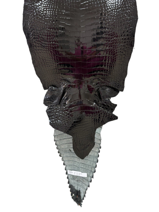 35 cm Grade 1/2 Black Glazed Farm American Alligator Leather - Tag: GA14-0021763