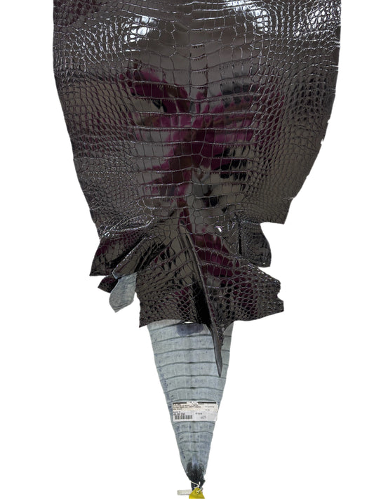 48 cm Grade 3/4 Black Glazed Wild American Alligator Leather - Tag: LA12-0136144