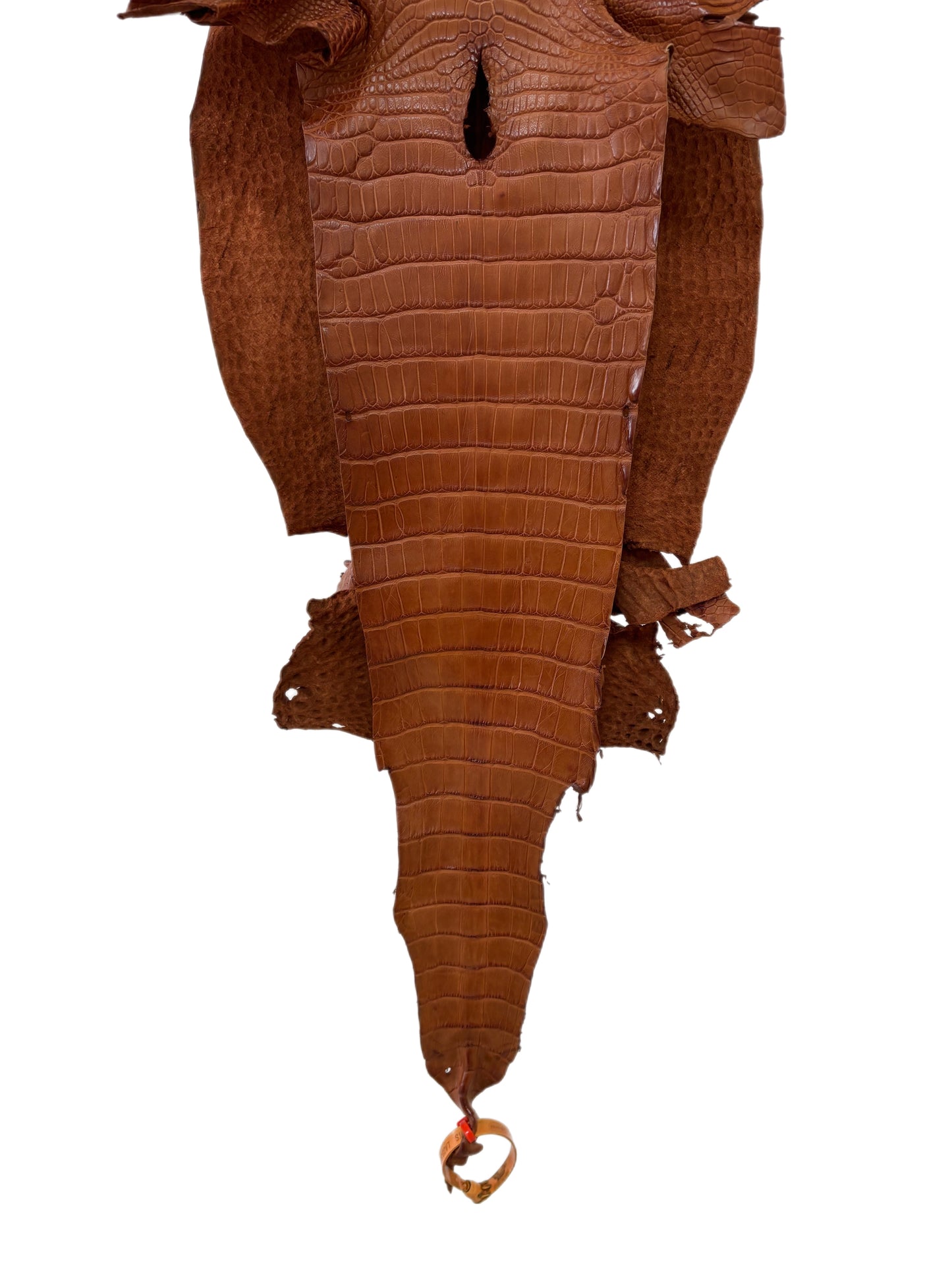 29 cm Grade 2/3 Cognac Matte Farm-Raised American Alligator Leather - Tag: LA23-0531088
