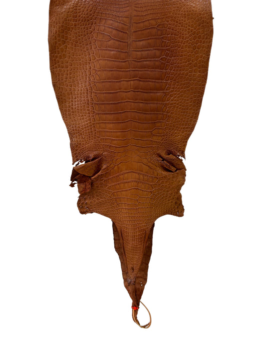 31 cm Grade 2/3 Cognac Matte Farm-Raised American Alligator Leather - Tag: LA23-0531175