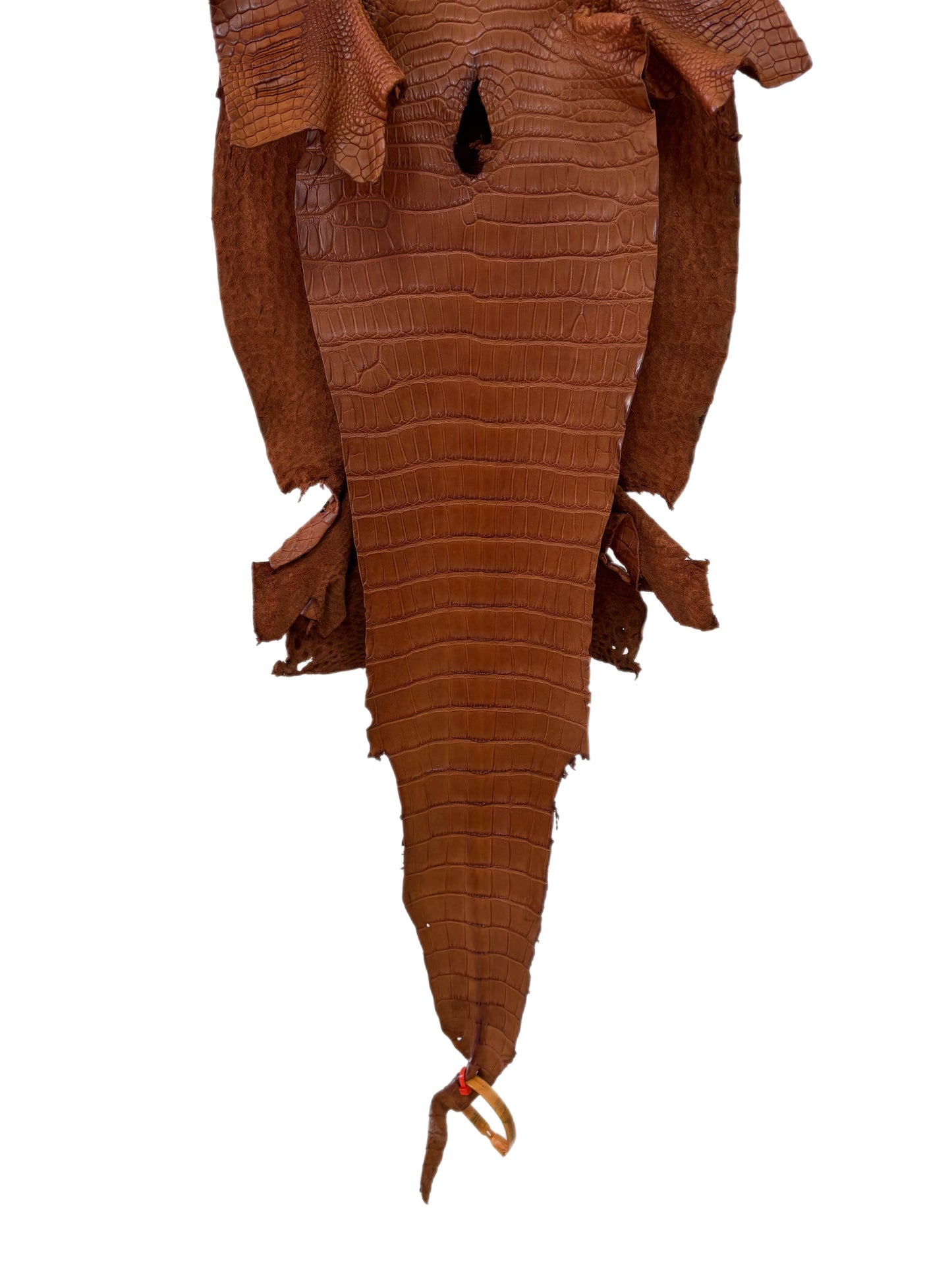 31 cm Grade 2/3 Cognac Matte Farm-Raised American Alligator Leather - Tag: LA23-0531509