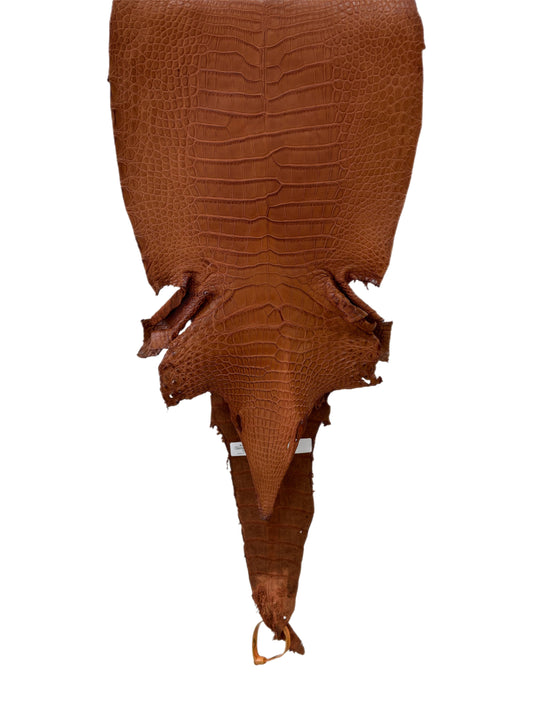 31 cm Grade 2/3 Cognac Matte Farm-Raised American Alligator Leather - Tag: LA23-0531509