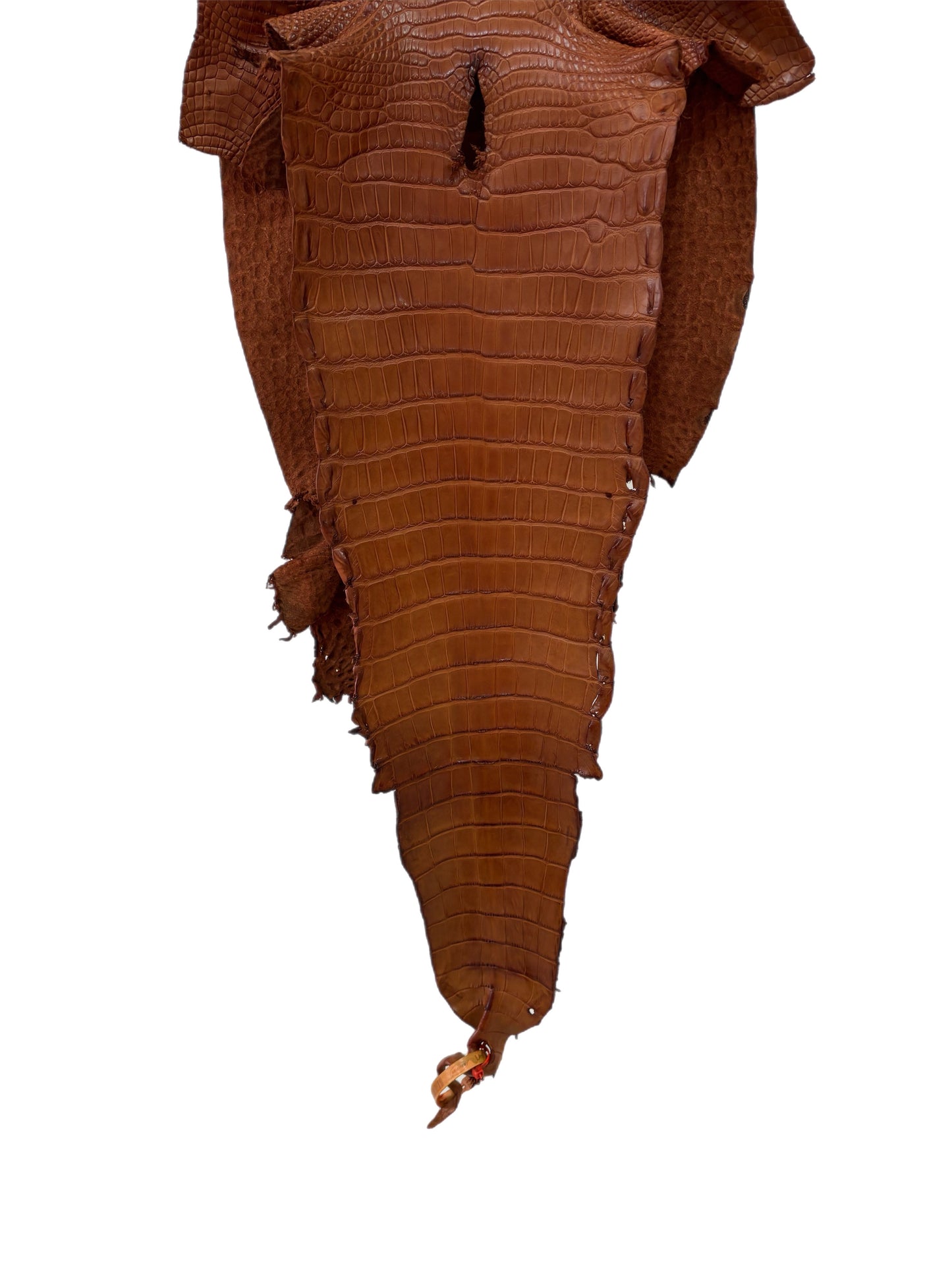33 cm Grade 2/3 Cognac Matte Farm-Raised American Alligator Leather - Tag: LA23-0531592