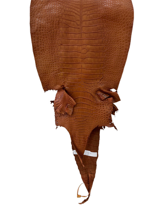 32 cm Grade 2/3 Cognac Matte Farm-Raised American Alligator Leather - Tag: LA23-0531672